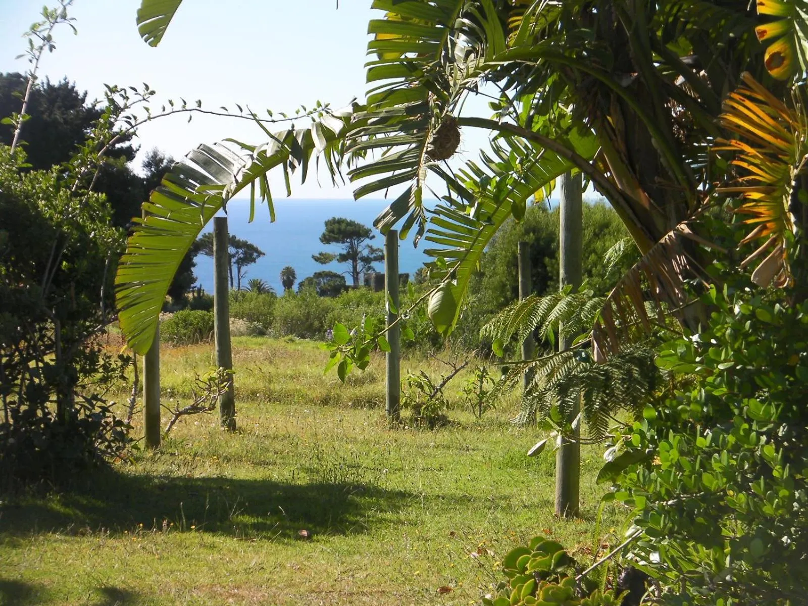 Day in Tsitsikamma on Sea Self-catering Cottages