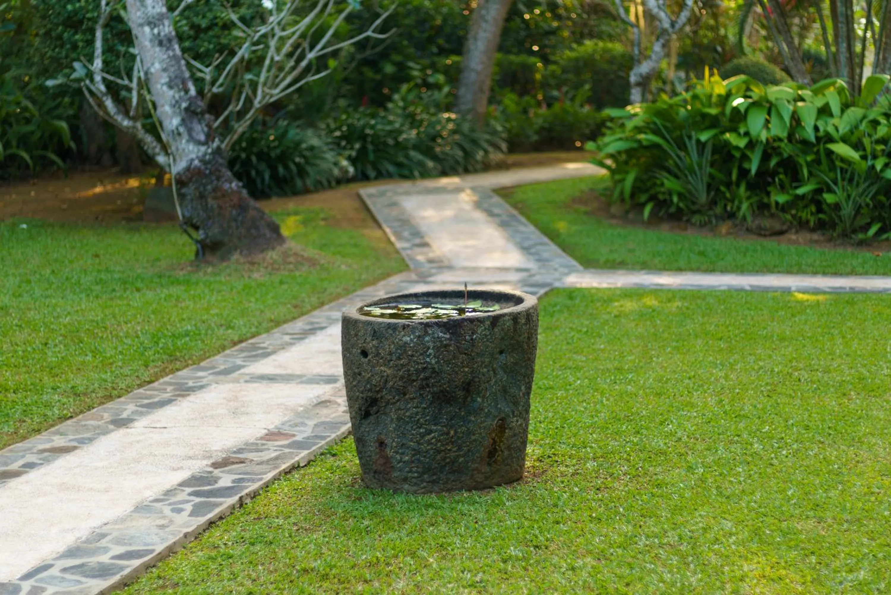 Garden in JH Villa