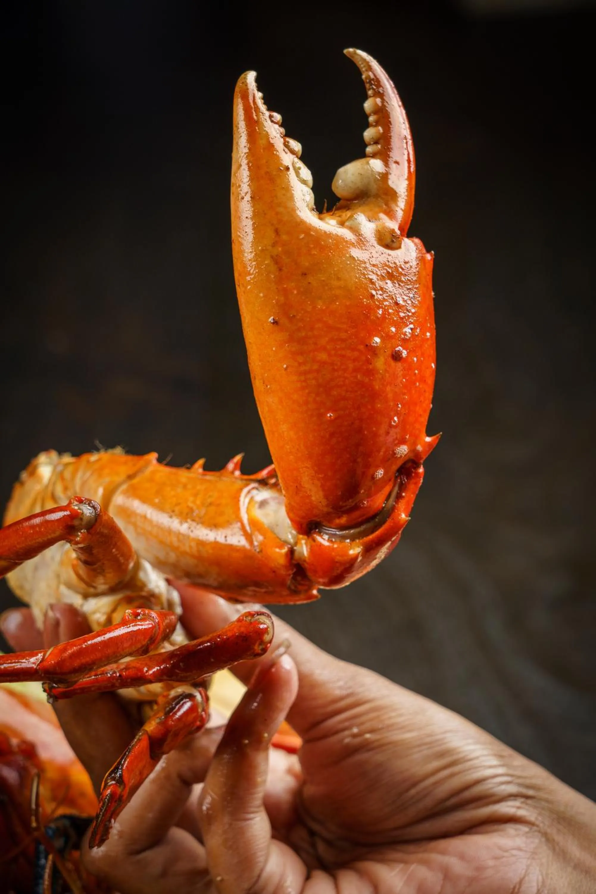 Food close-up in JH Villa