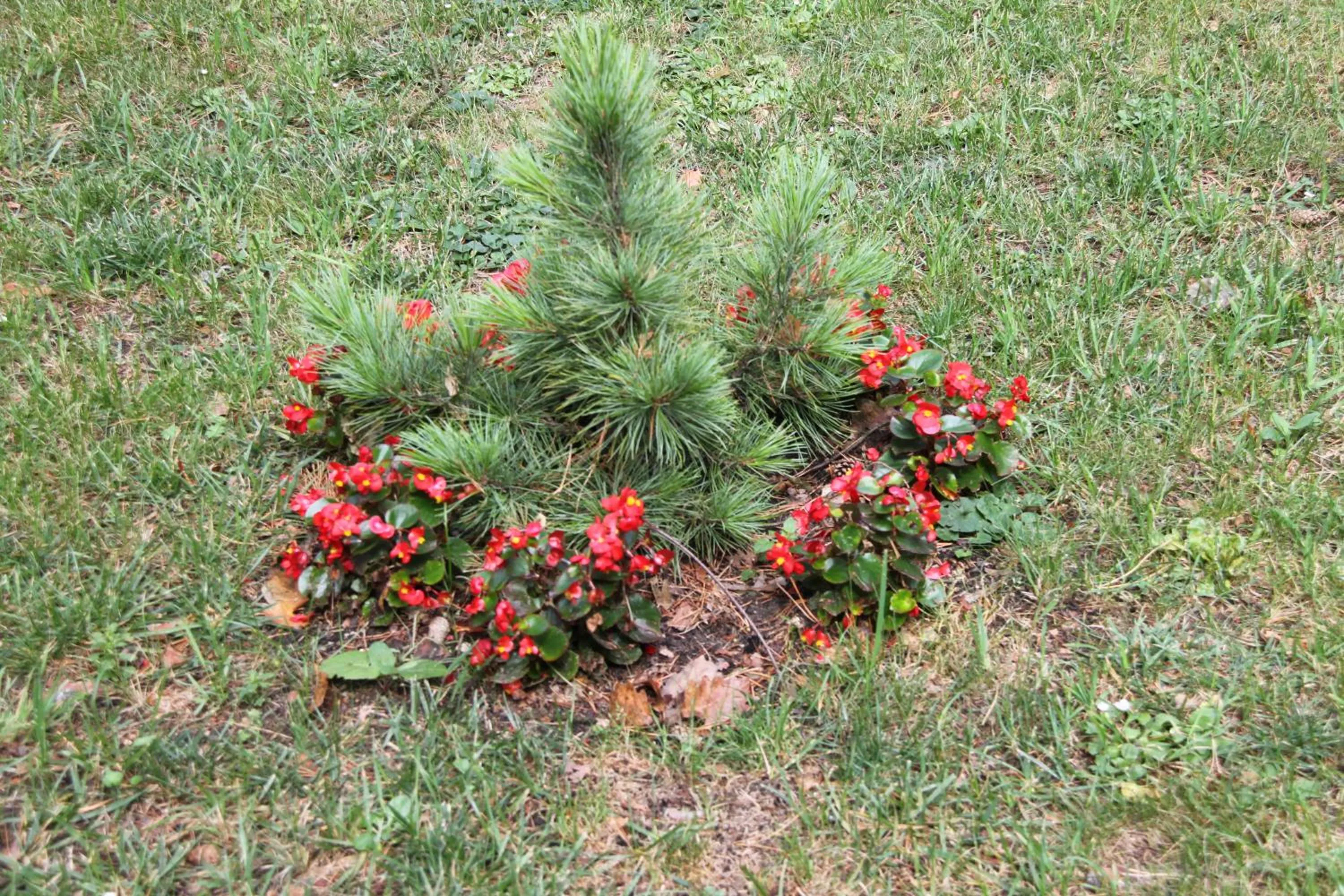 Decorative detail in Hotel Zielony & OW Borowik & Pensjonat Manhattan - Centrum Rekreacji i Wypoczynku GASTROTUR