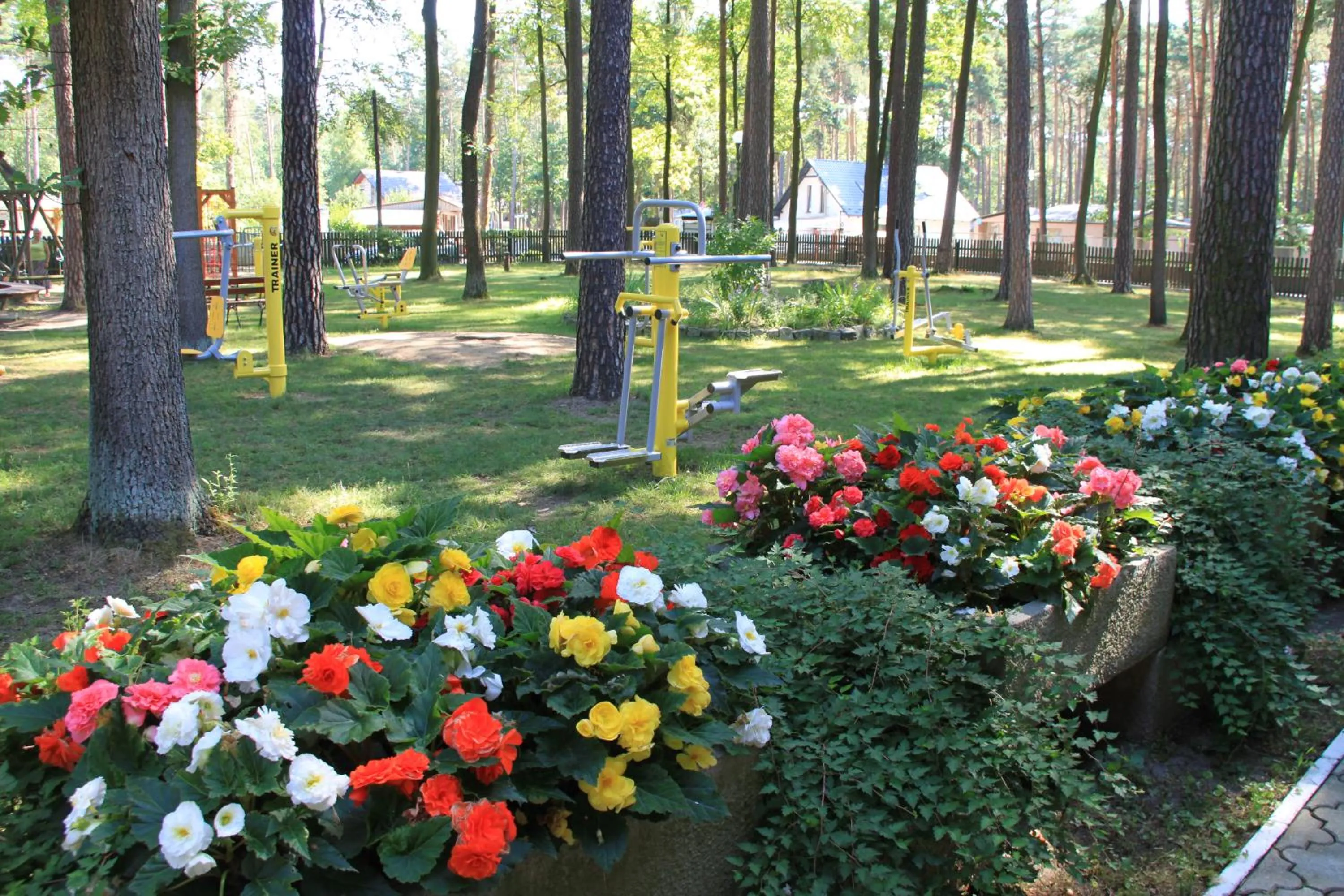 Activities in Hotel Zielony & OW Borowik & Pensjonat Manhattan - Centrum Rekreacji i Wypoczynku GASTROTUR