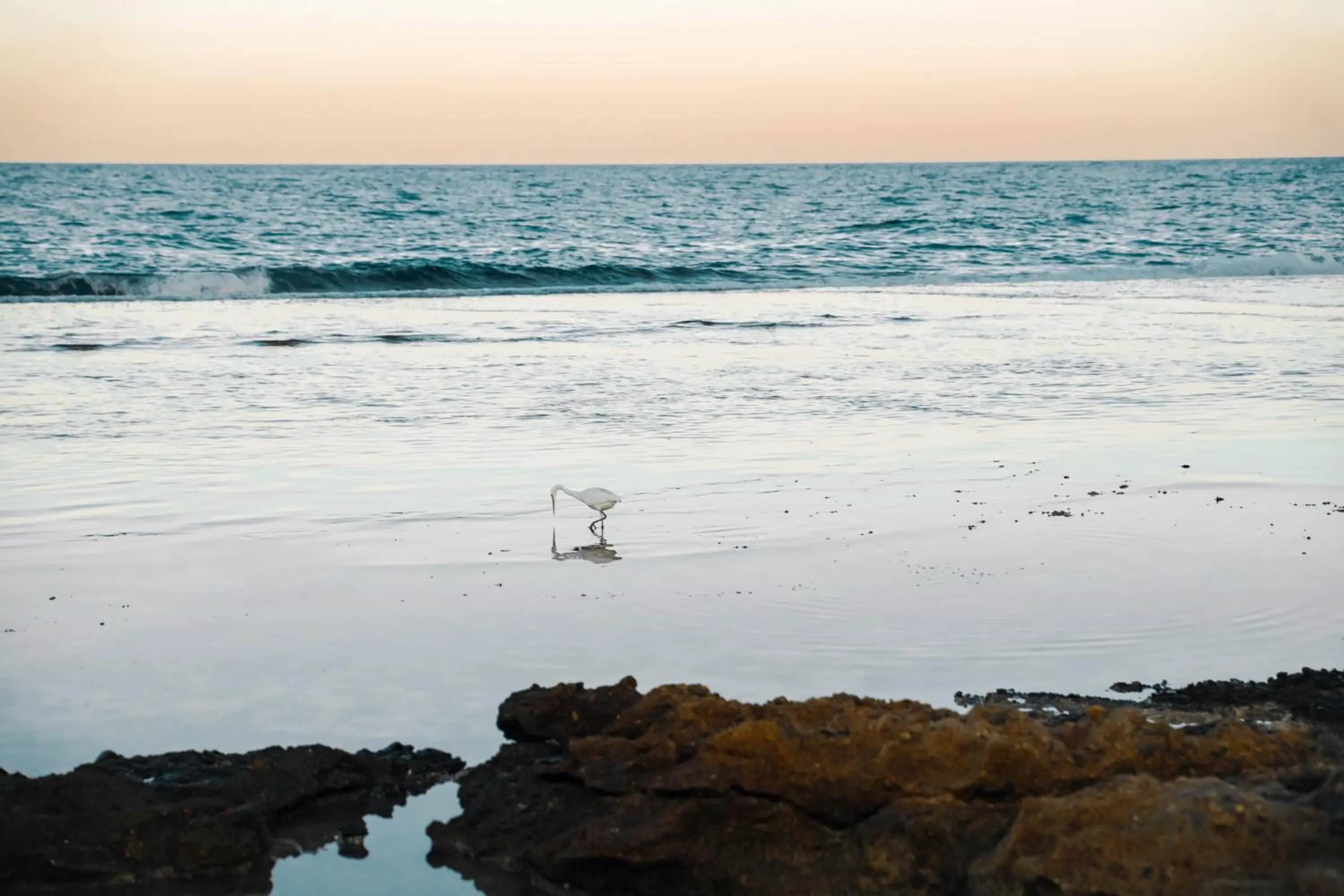 Sentido Akassia Beach