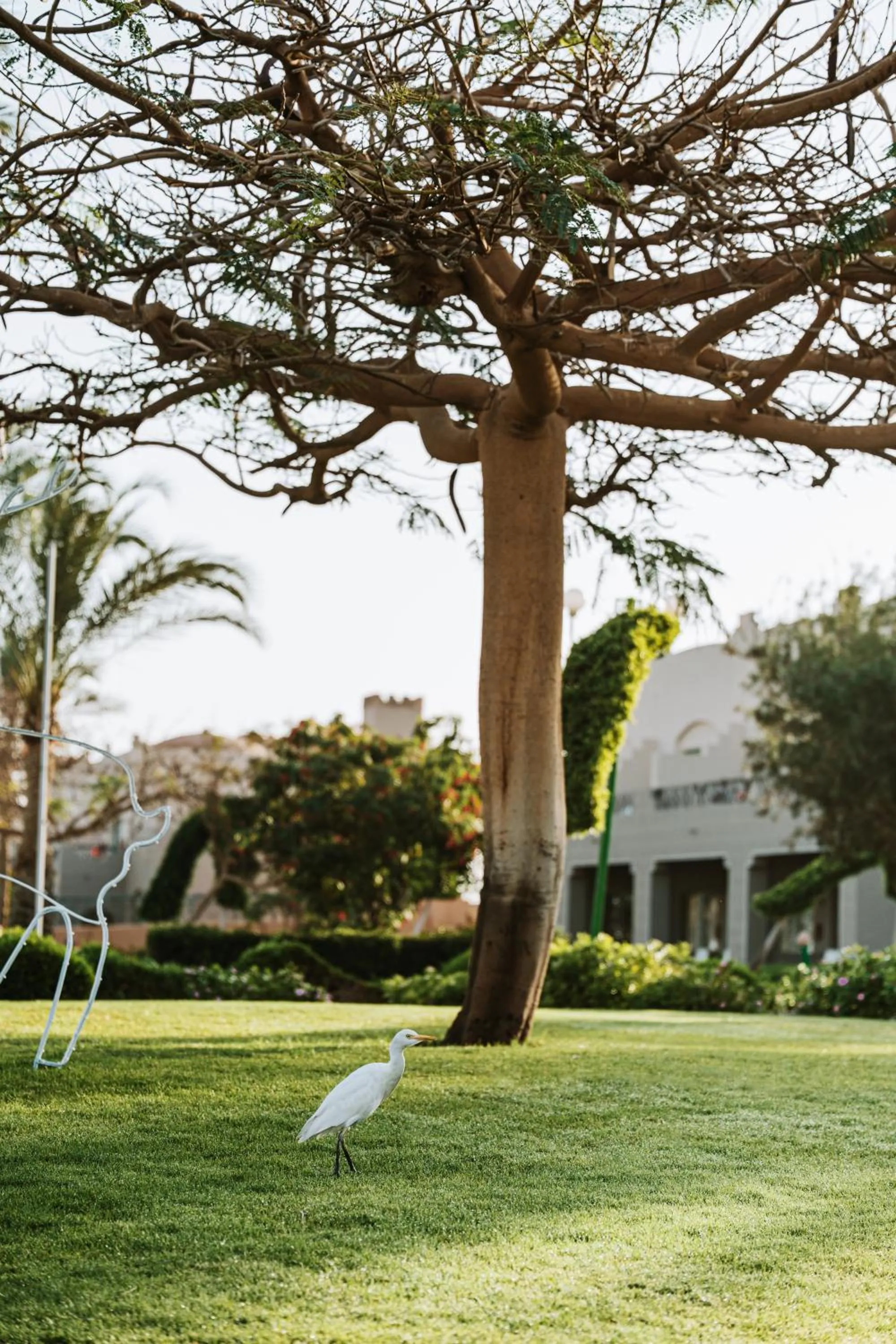 Sentido Akassia Beach