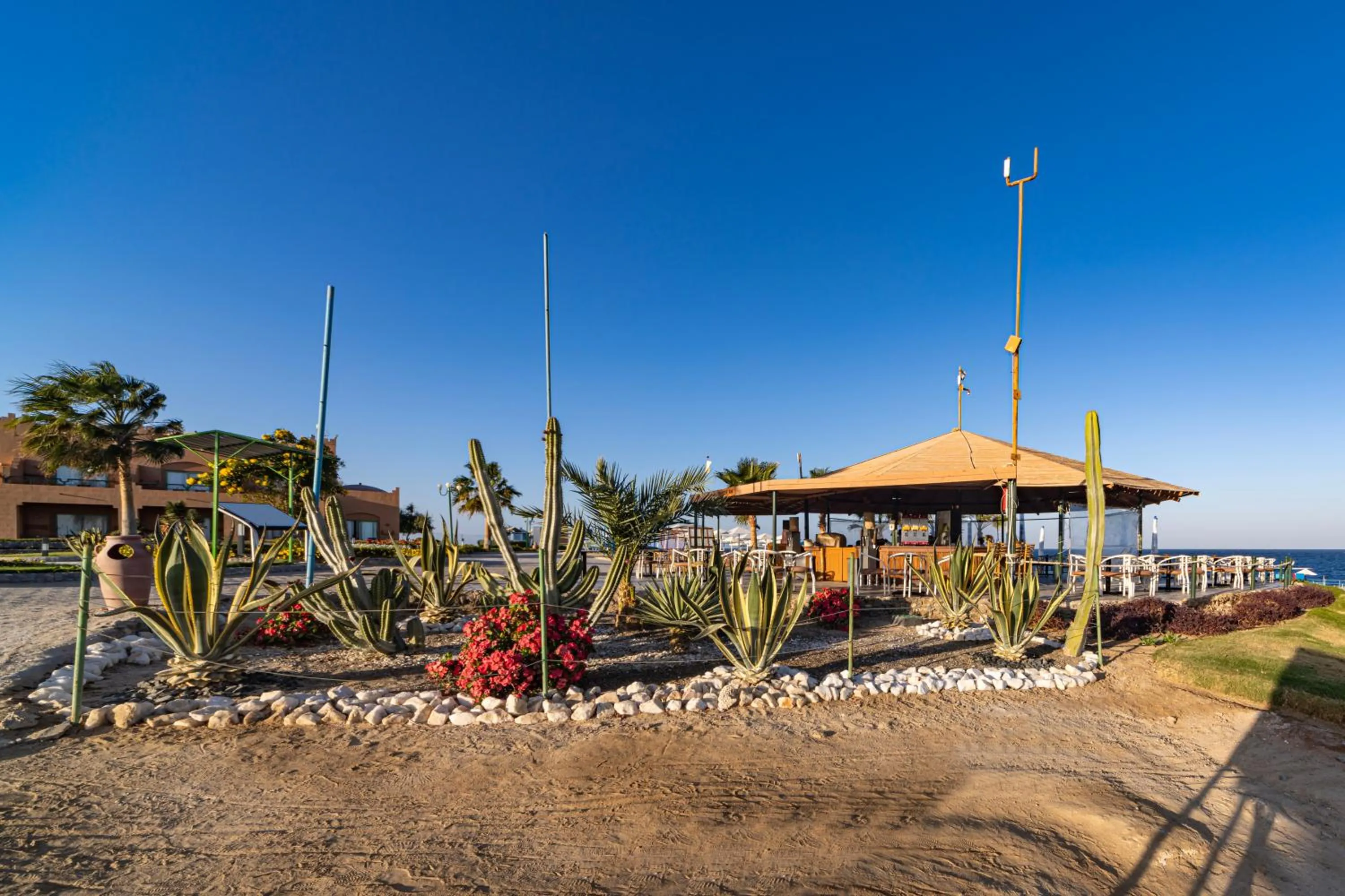 Sentido Akassia Beach