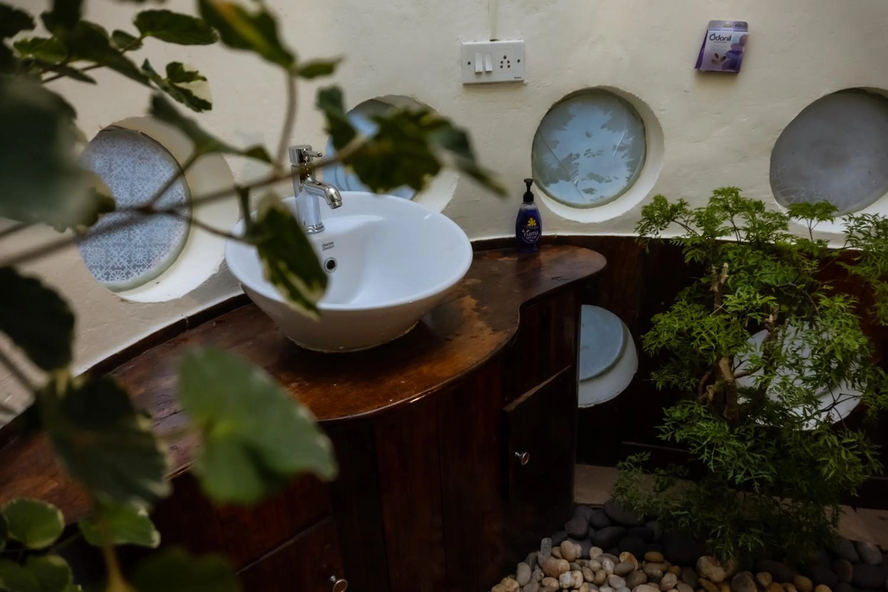 Eden Garden By Cliff Way