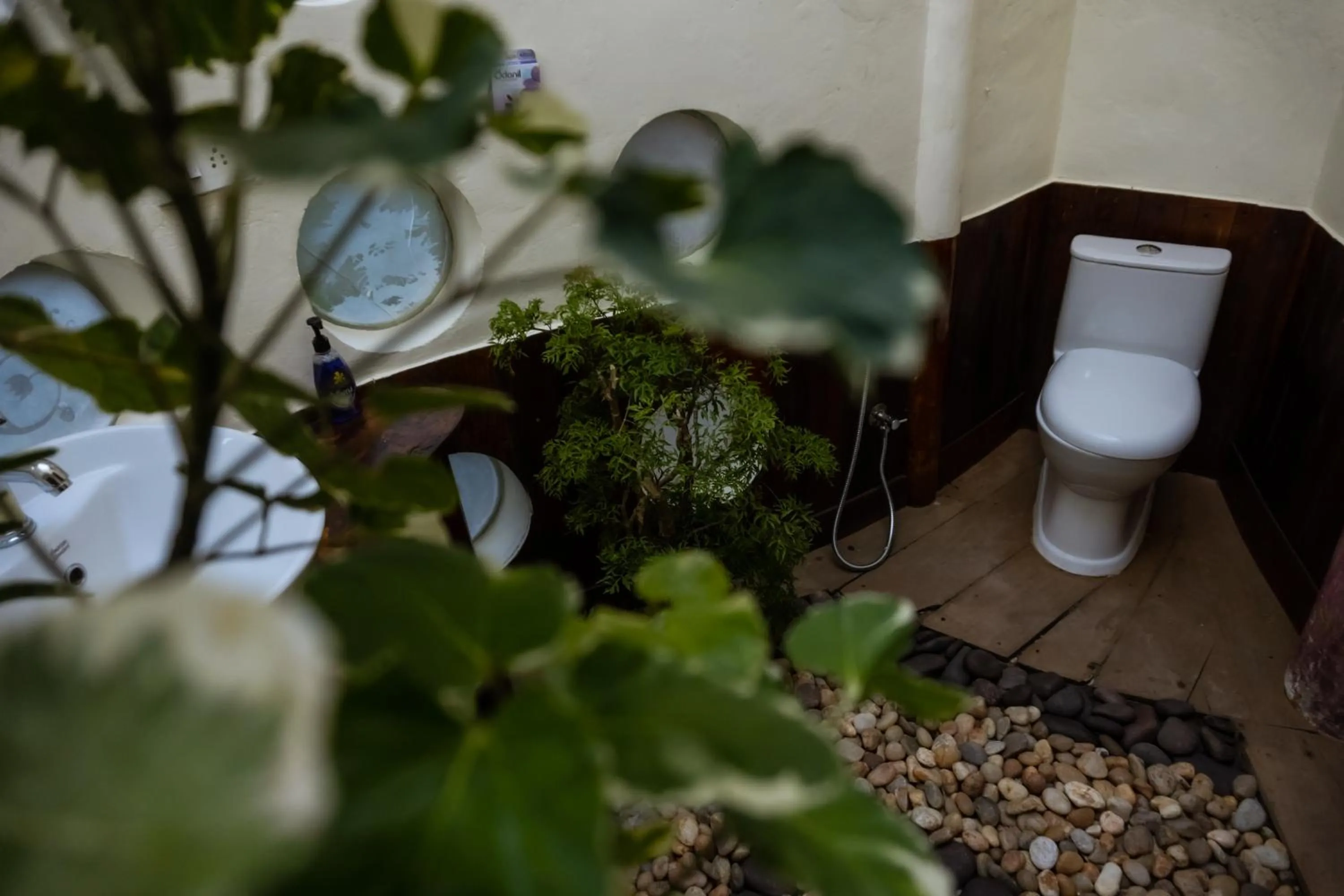 Eden Garden By Cliff Way