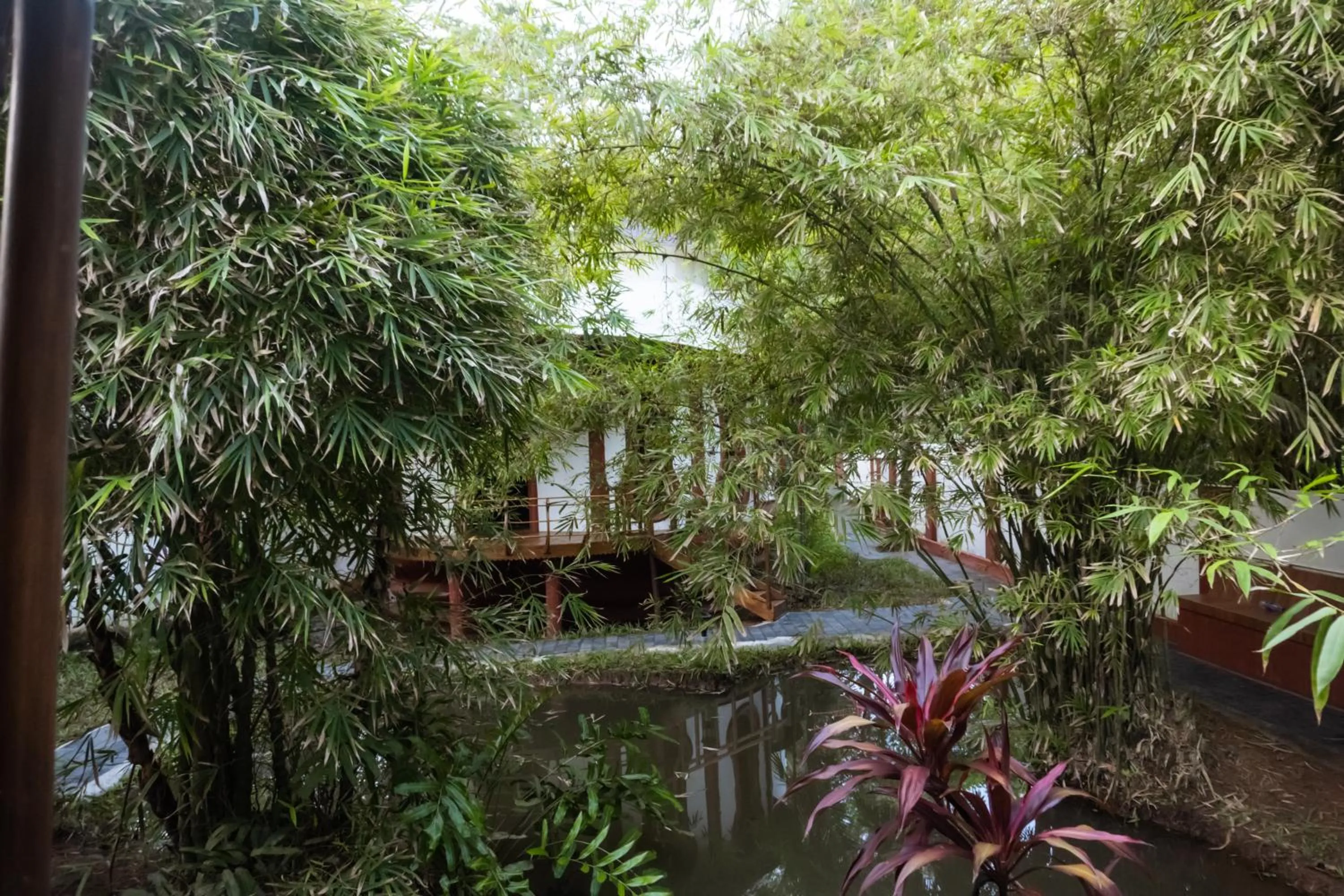 Eden Garden By Cliff Way