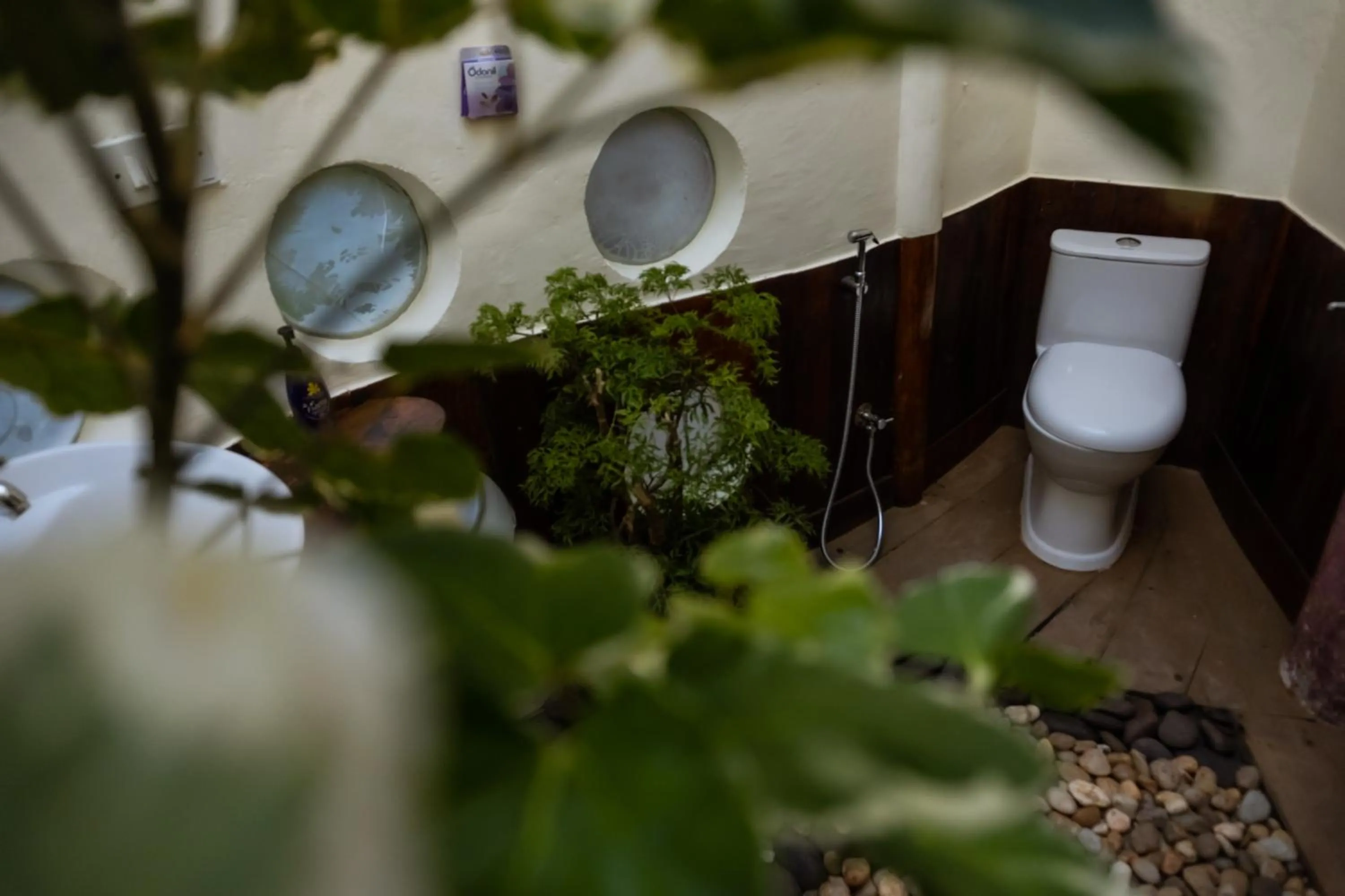 Eden Garden By Cliff Way