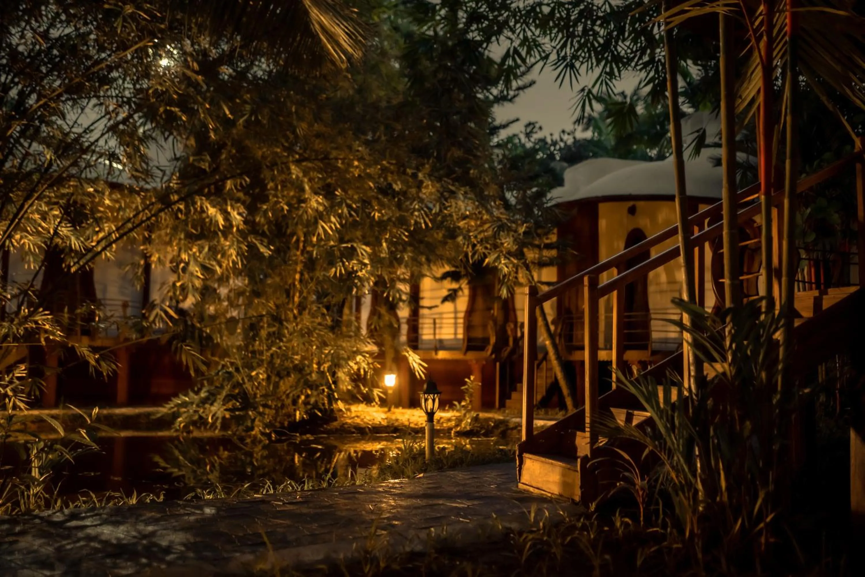 Eden Garden By Cliff Way