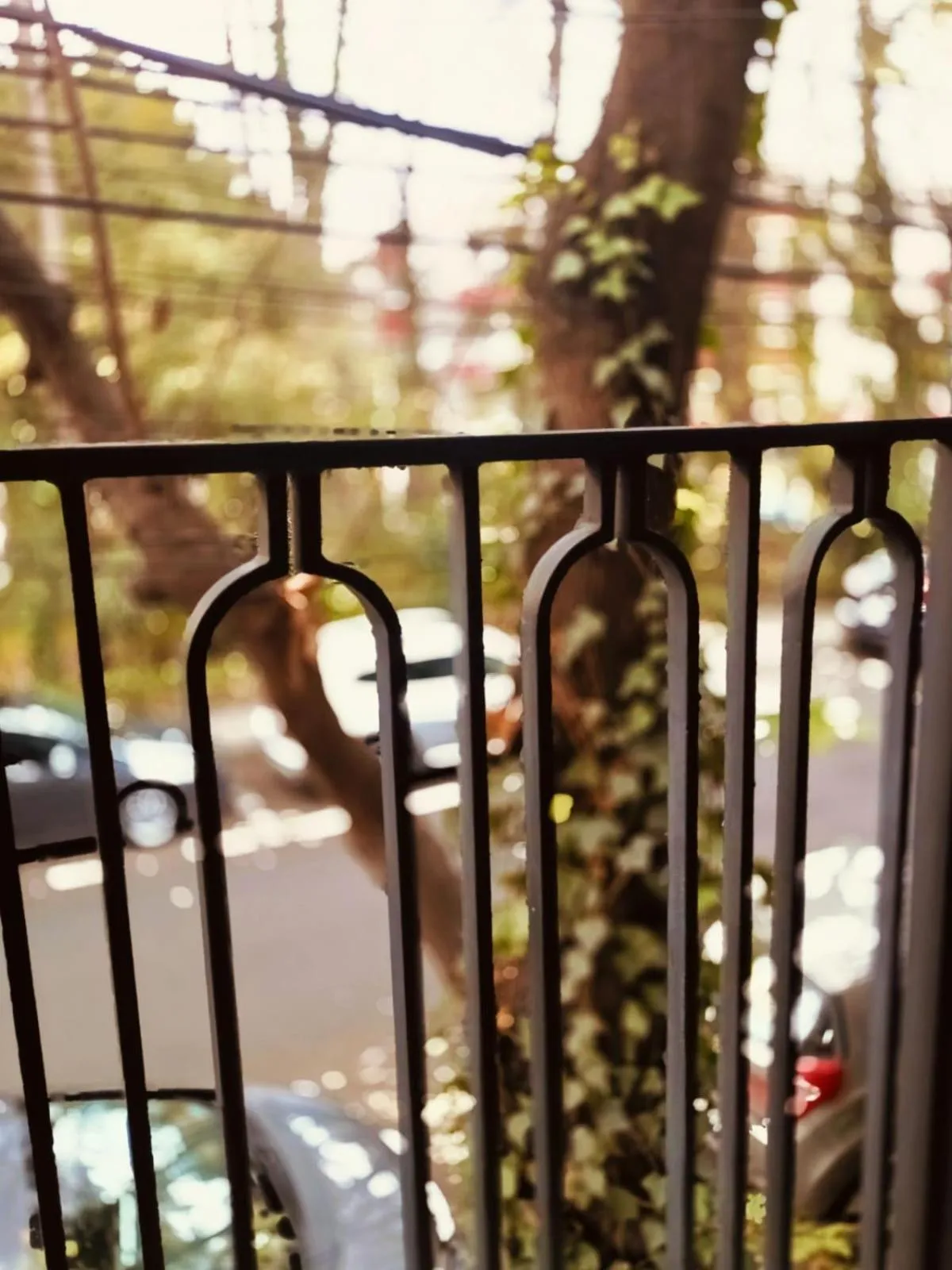 Balcony/Terrace in Casa Altata Hotel Boutique