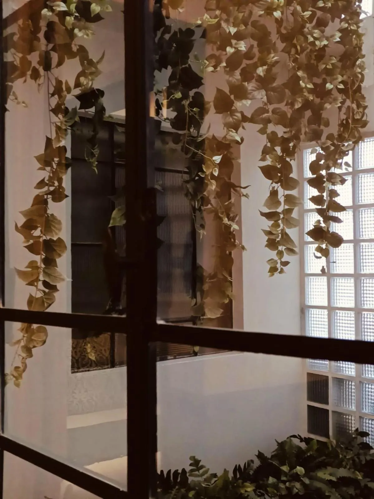 Casa Altata Hotel Boutique