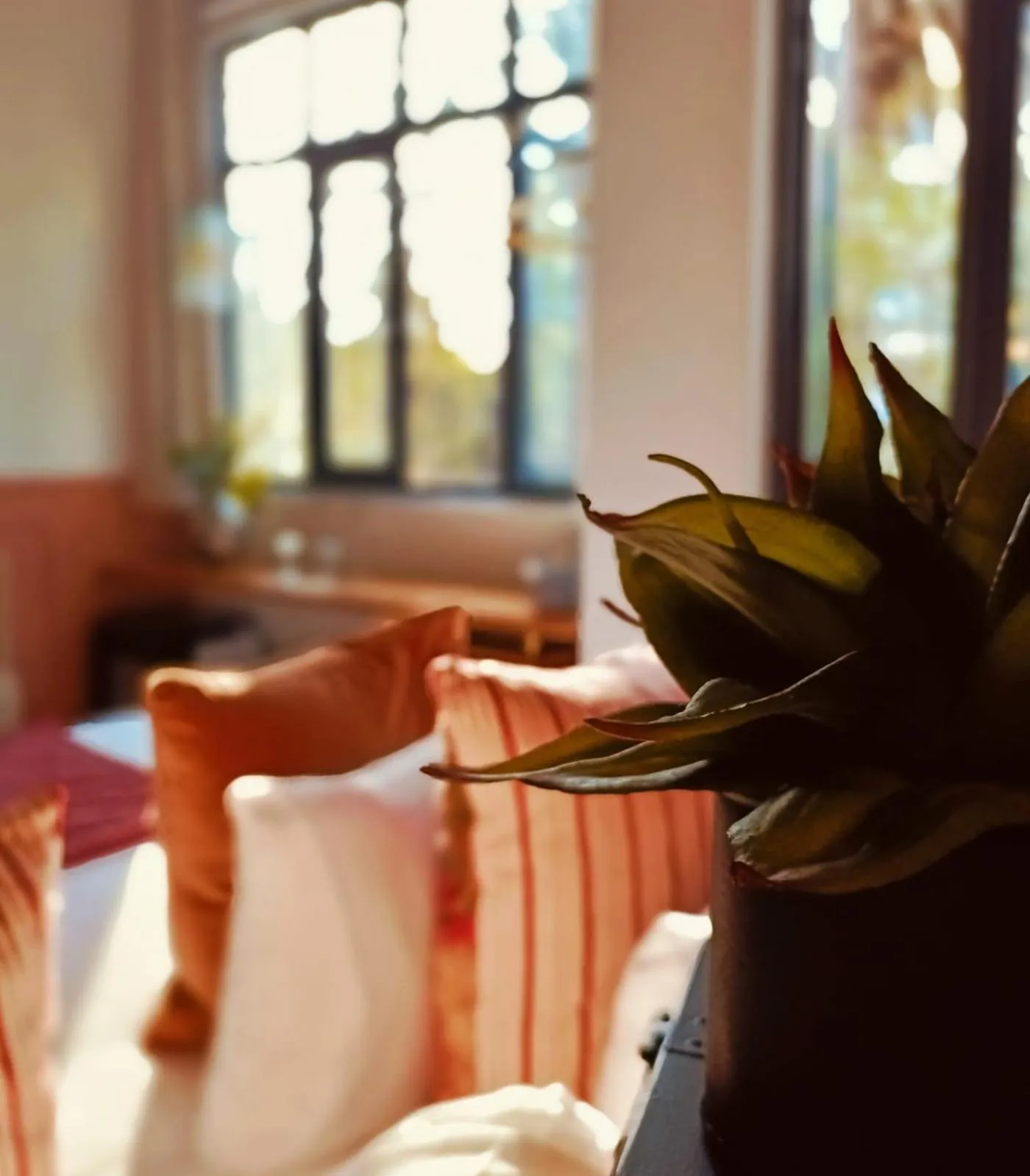 Casa Altata Hotel Boutique