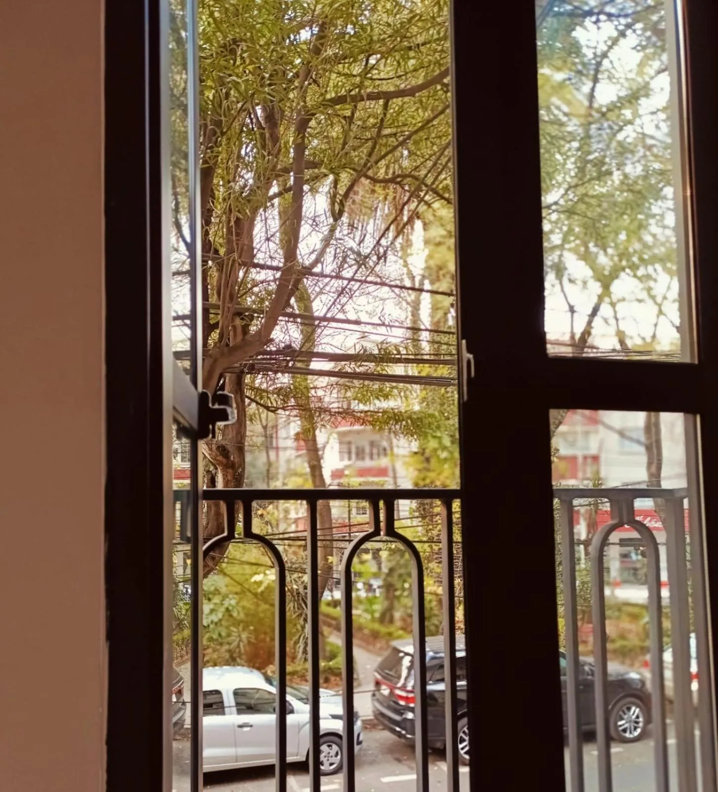 Day in Casa Altata Hotel Boutique