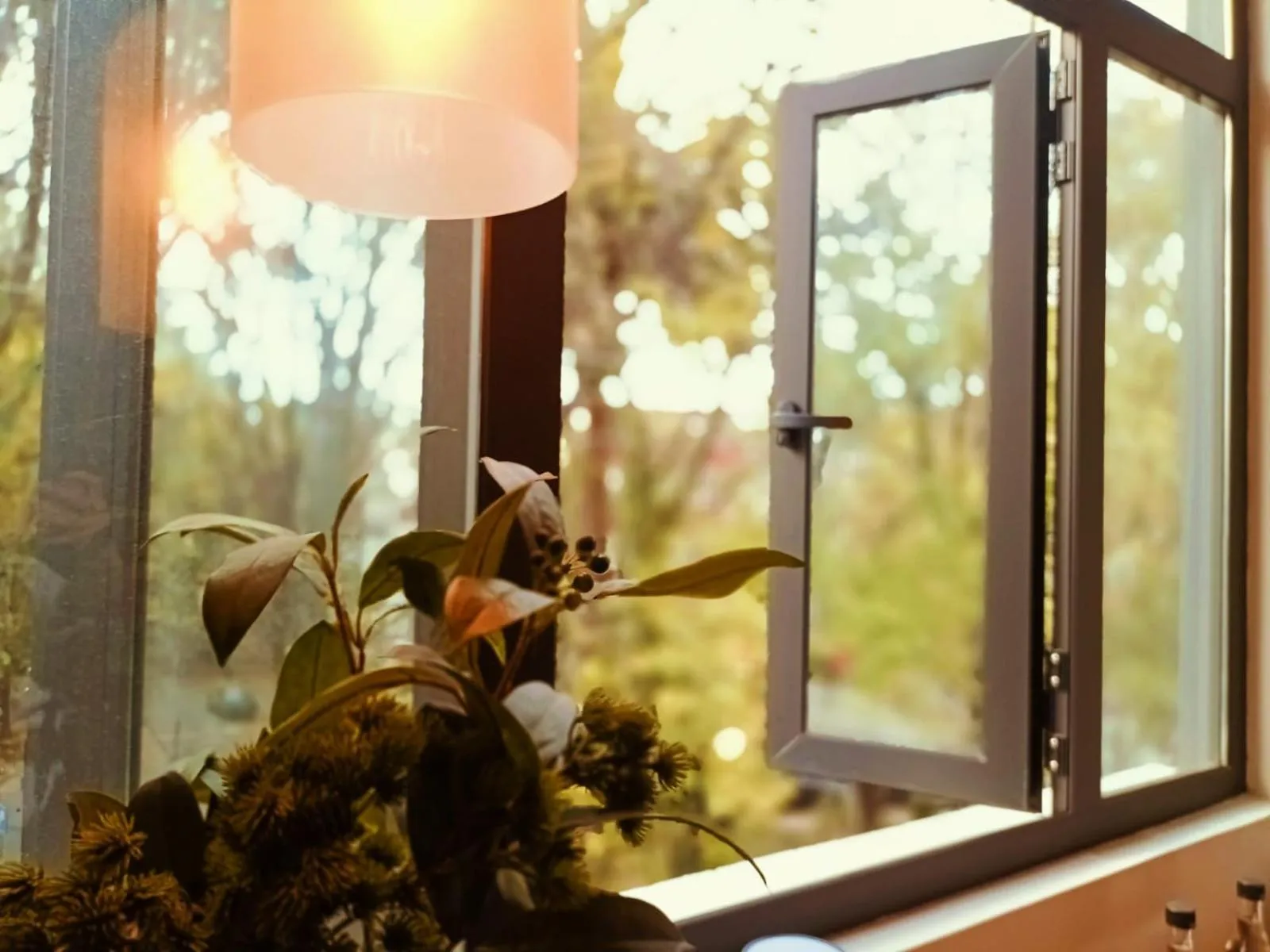 Casa Altata Hotel Boutique