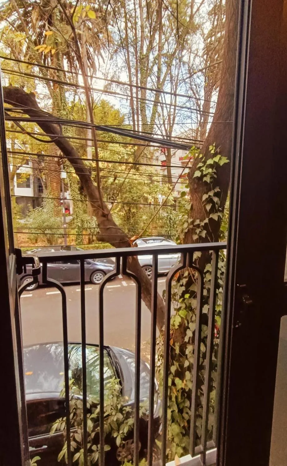 Garden in Casa Altata Hotel Boutique