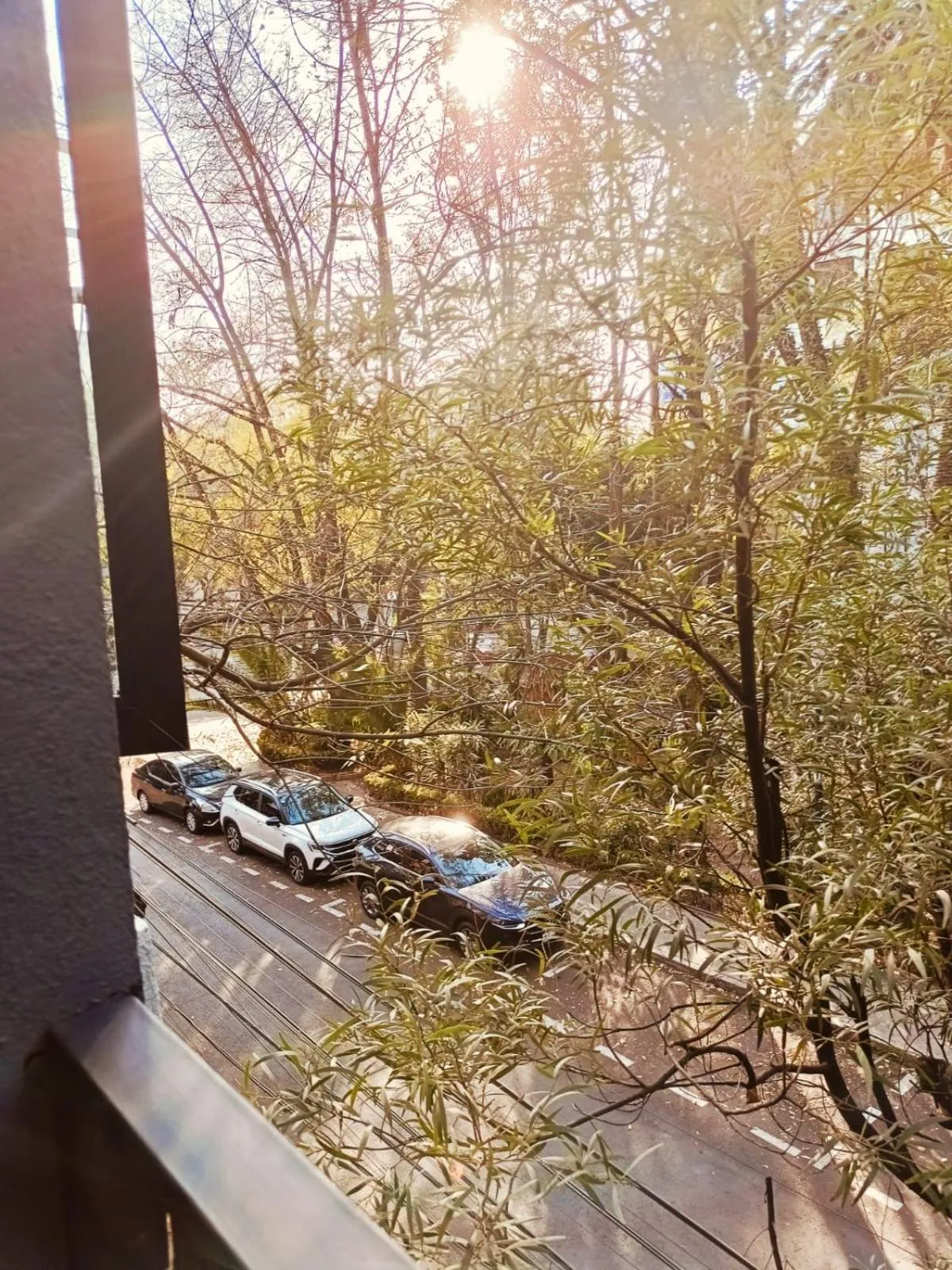 Casa Altata Hotel Boutique