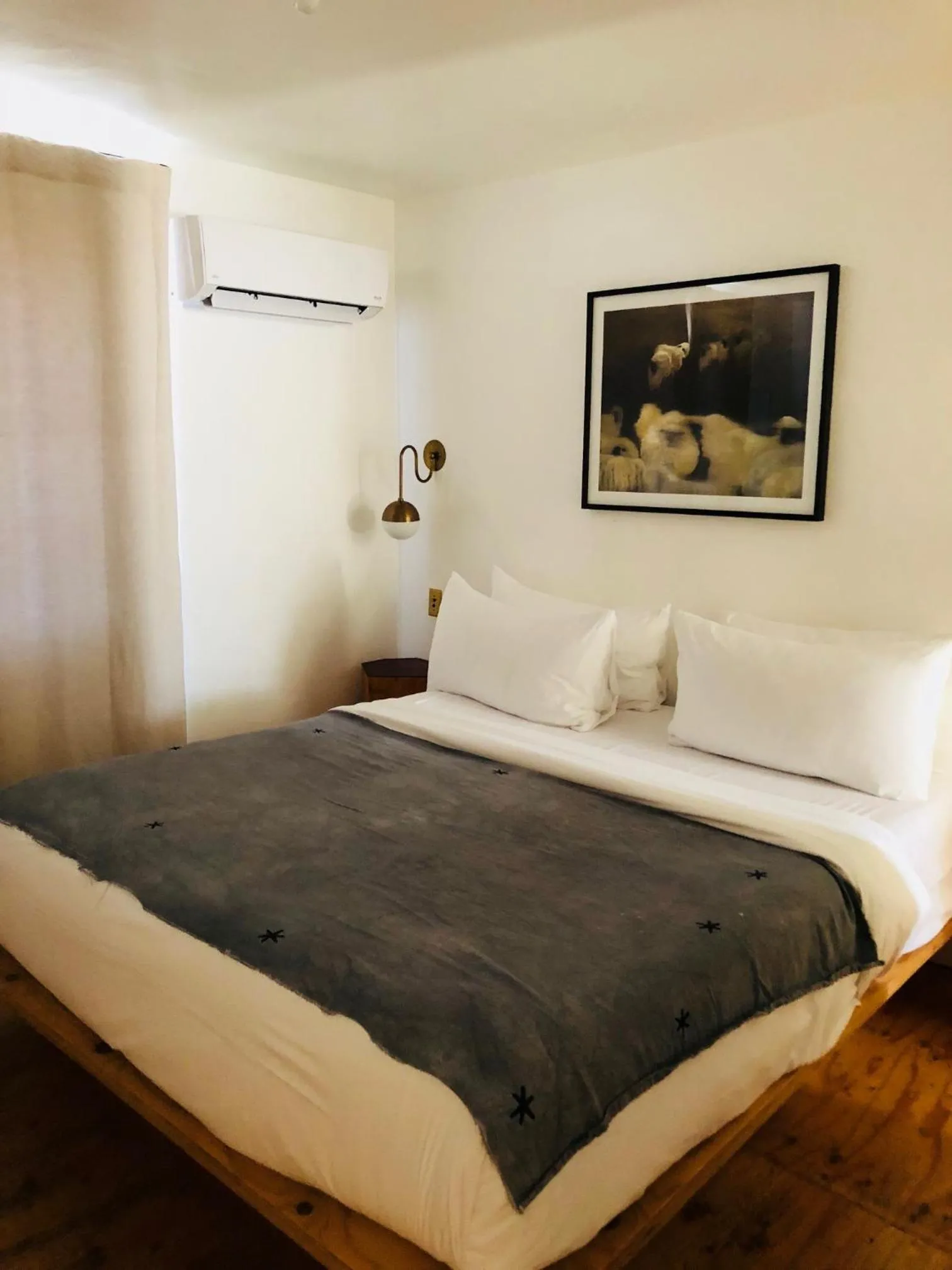 Bed in Alamo Motel