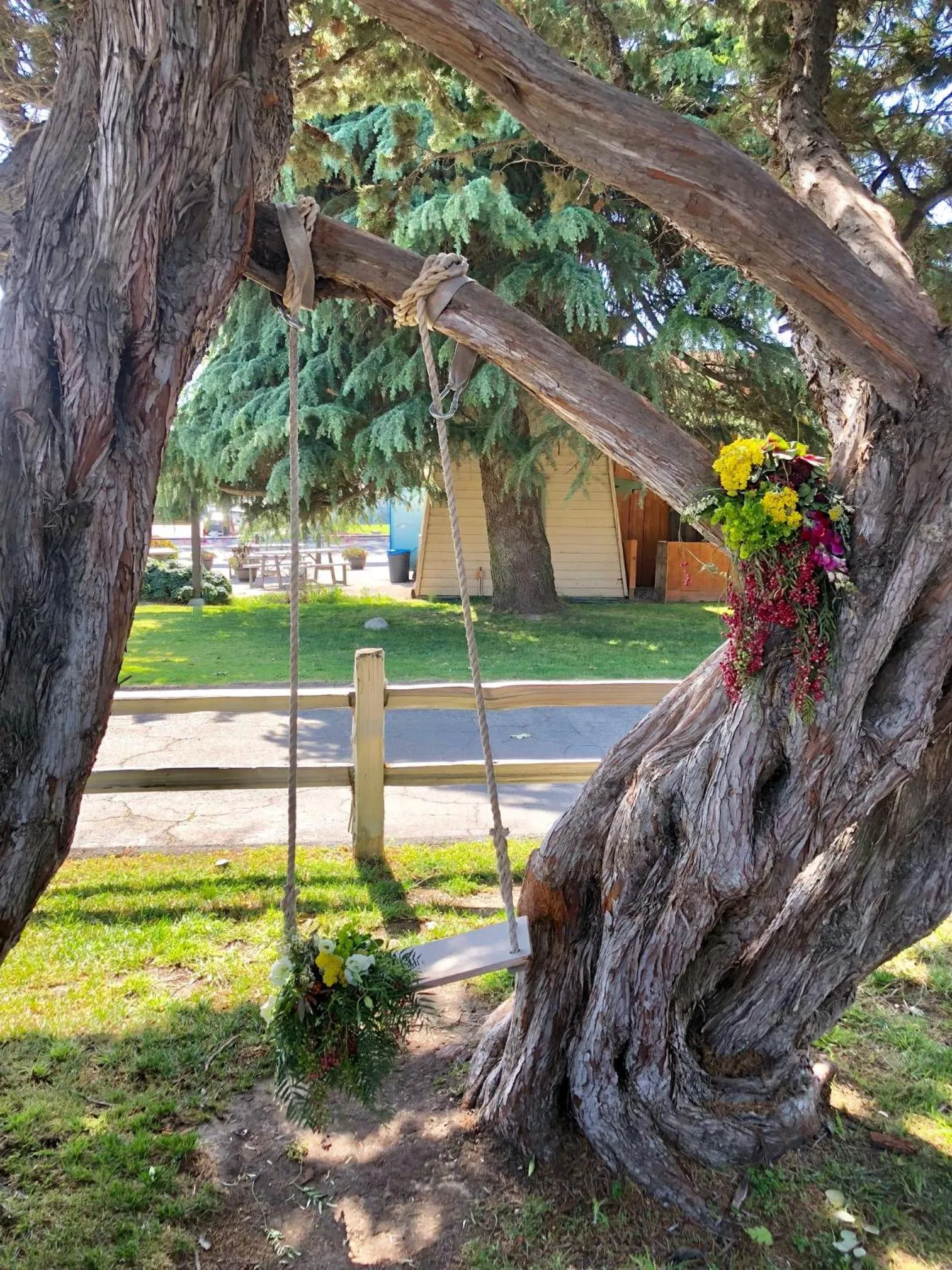 Garden view in Alamo Motel