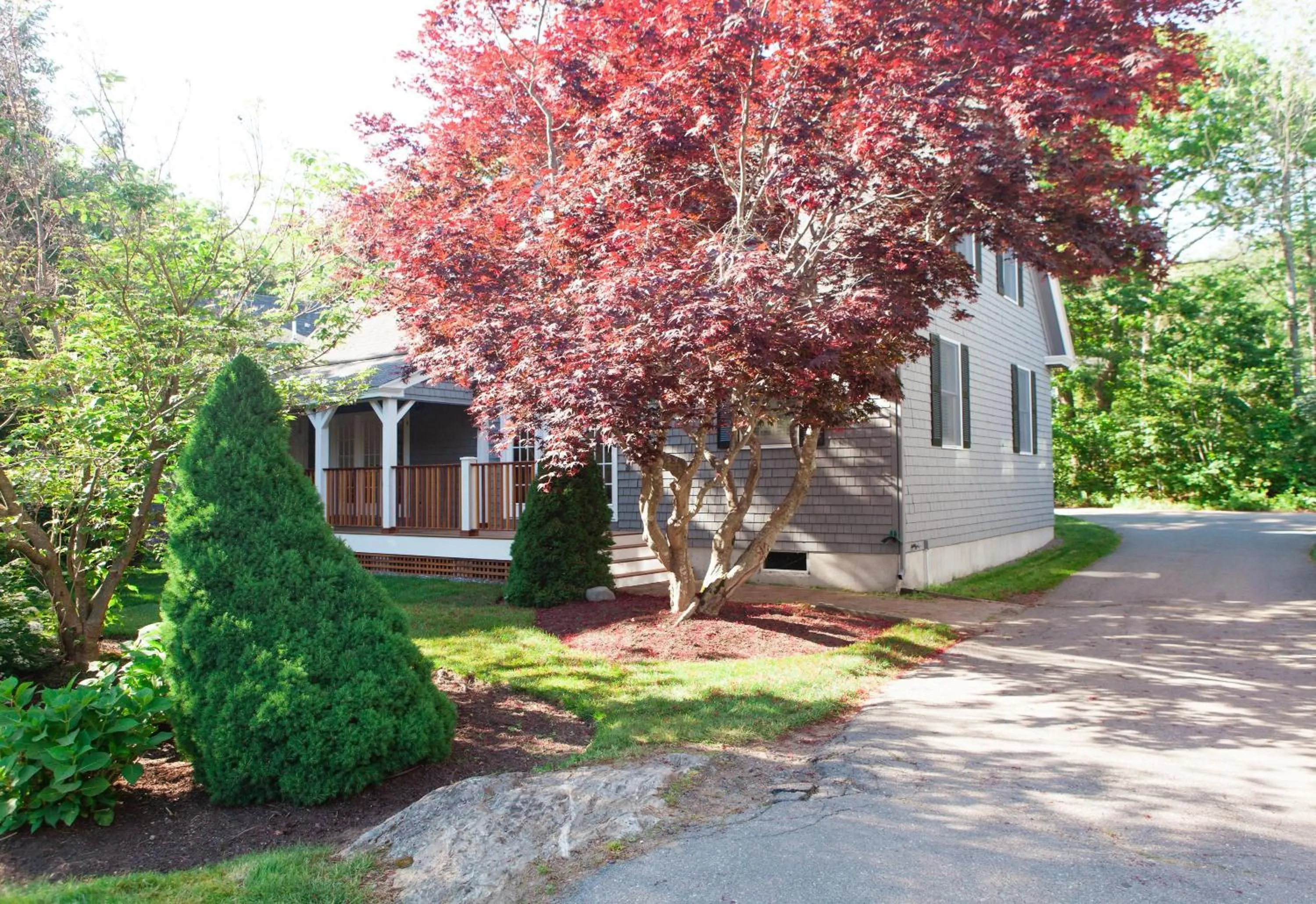 Photo of the whole room in Cape Arundel Inn and Resort