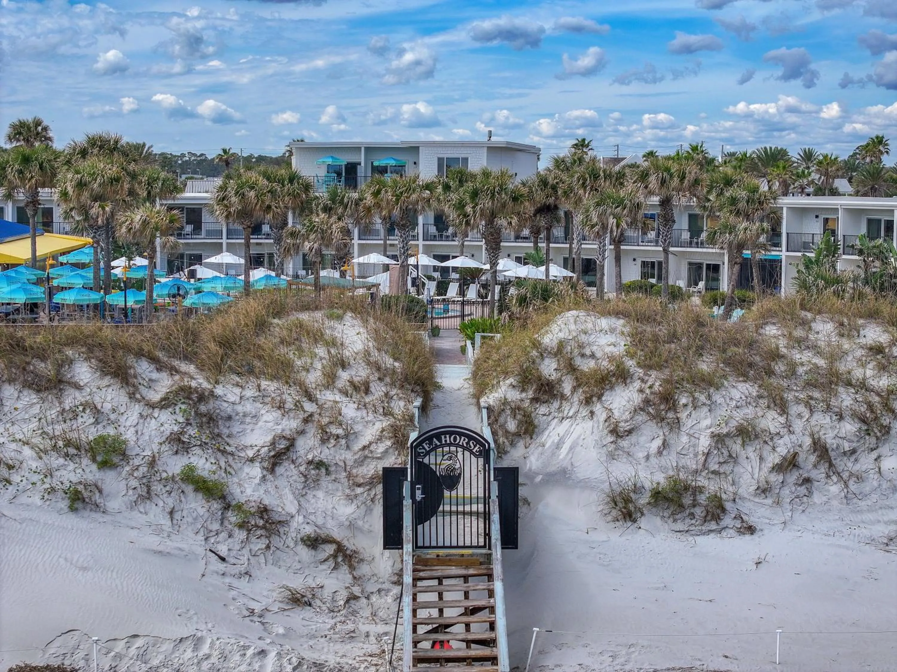 Natural landscape in Seahorse Oceanfront Inn
