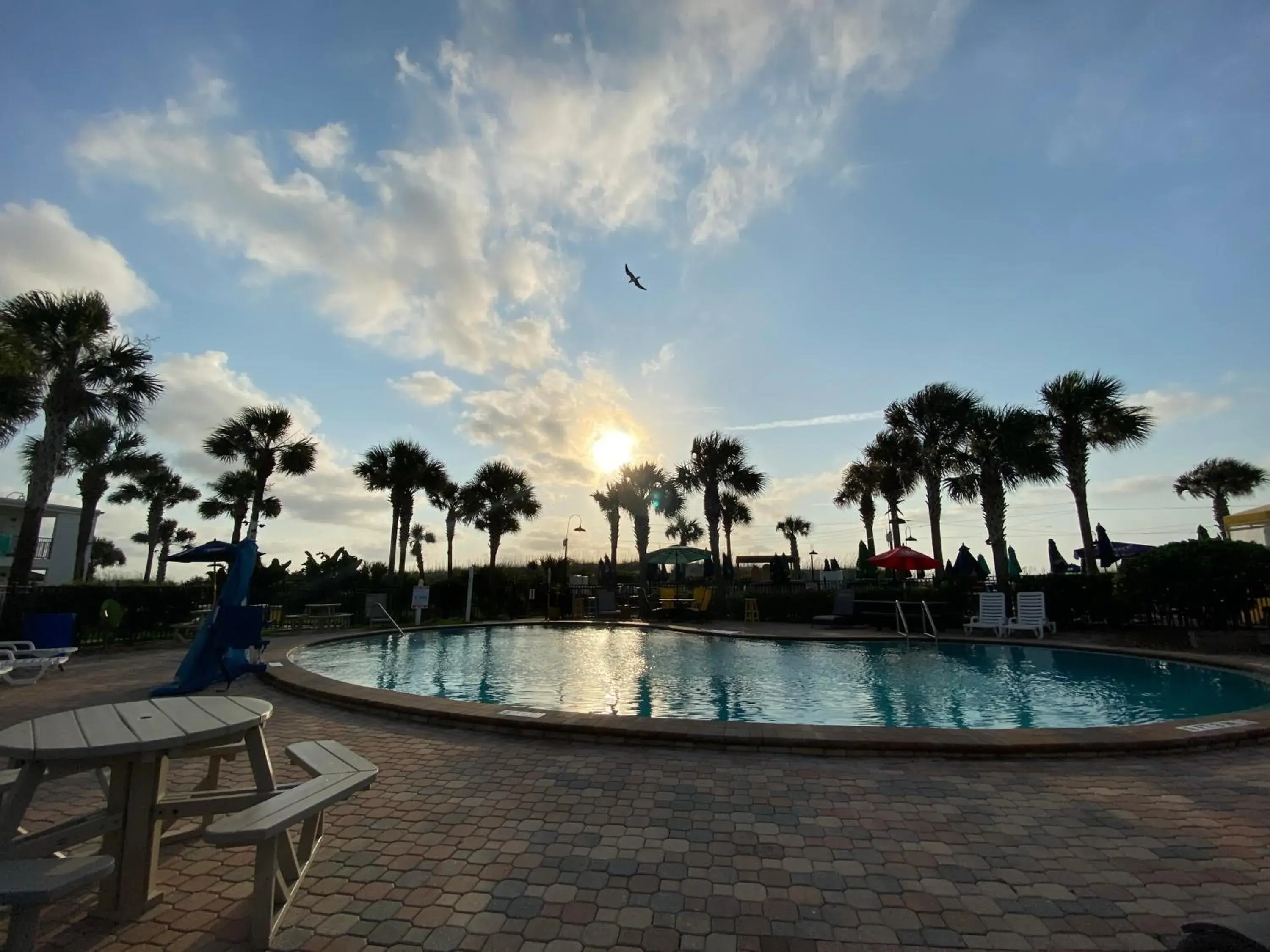 Pool view in Seahorse Oceanfront Inn Pool view in Seahorse Oceanfront Inn