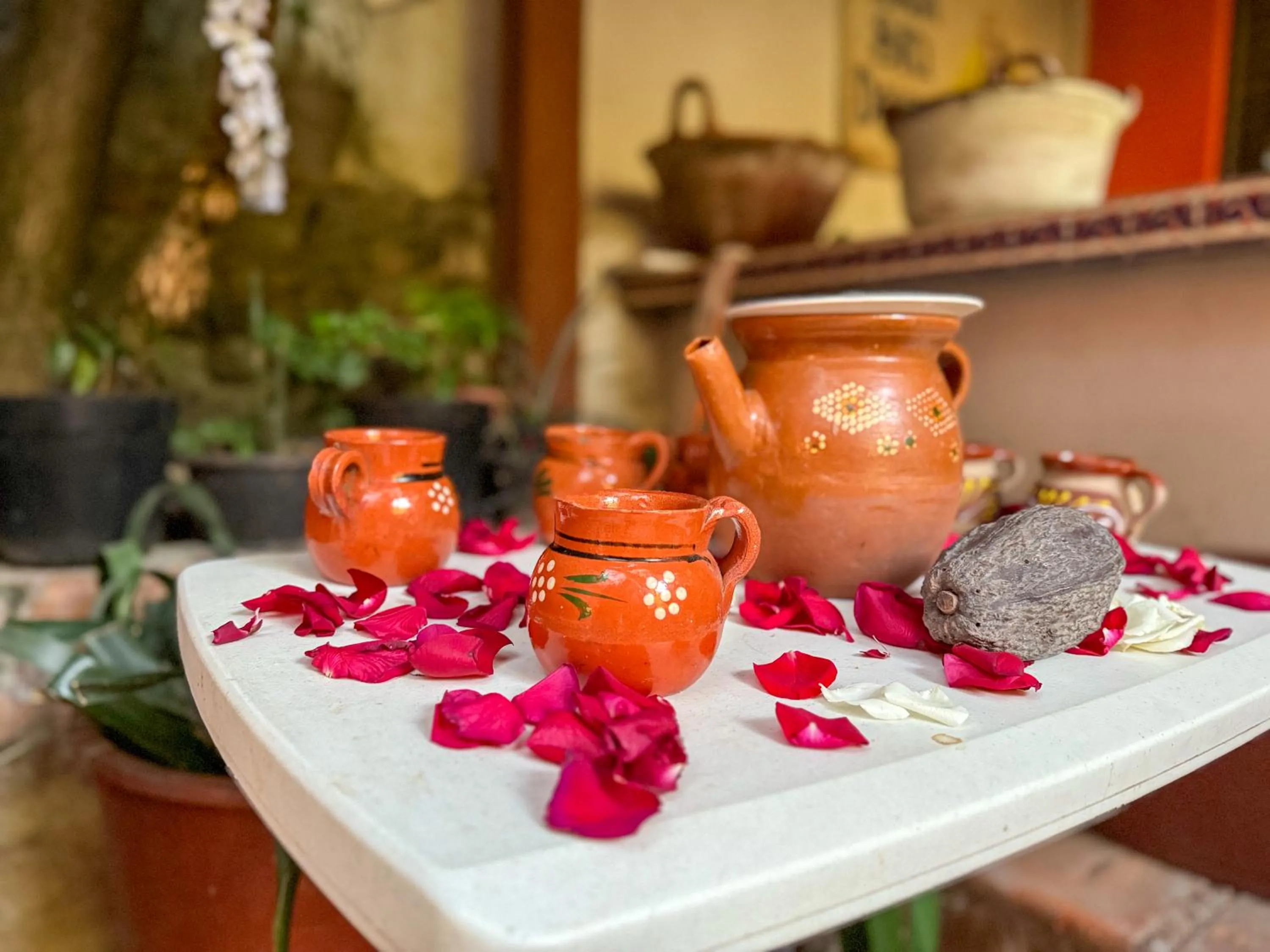 Posada Temazcal Santo Domingo