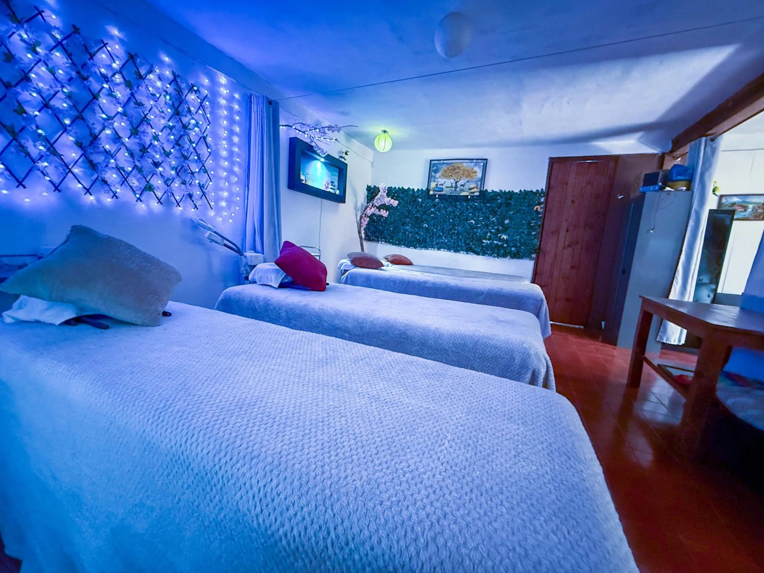 Spa and wellness centre/facilities, Bed in Posada Temazcal Santo Domingo