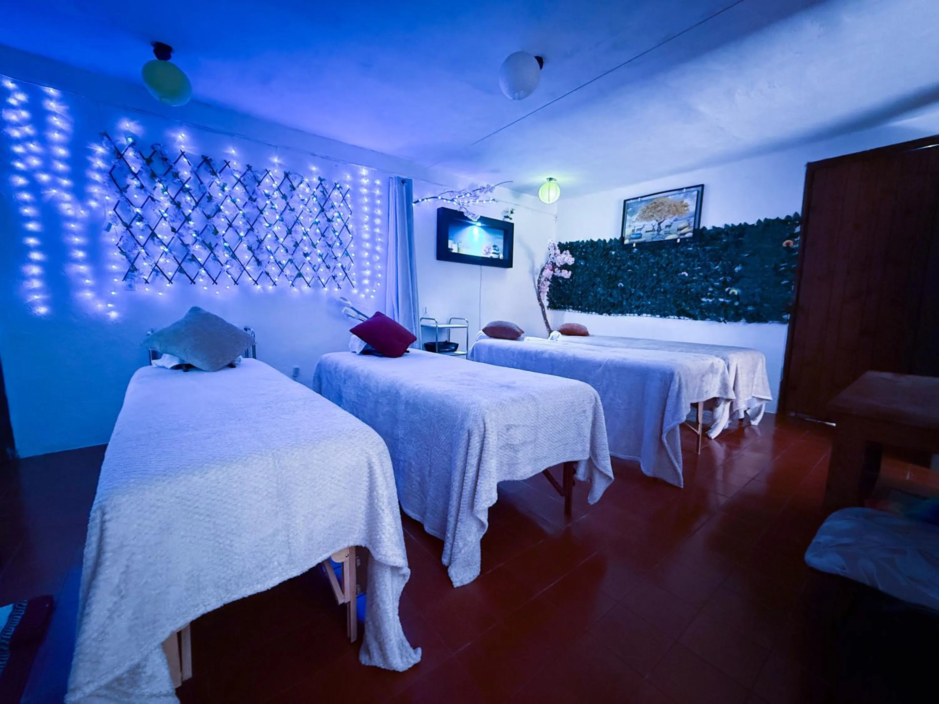 Spa and wellness centre/facilities, Bed in Posada Temazcal Santo Domingo