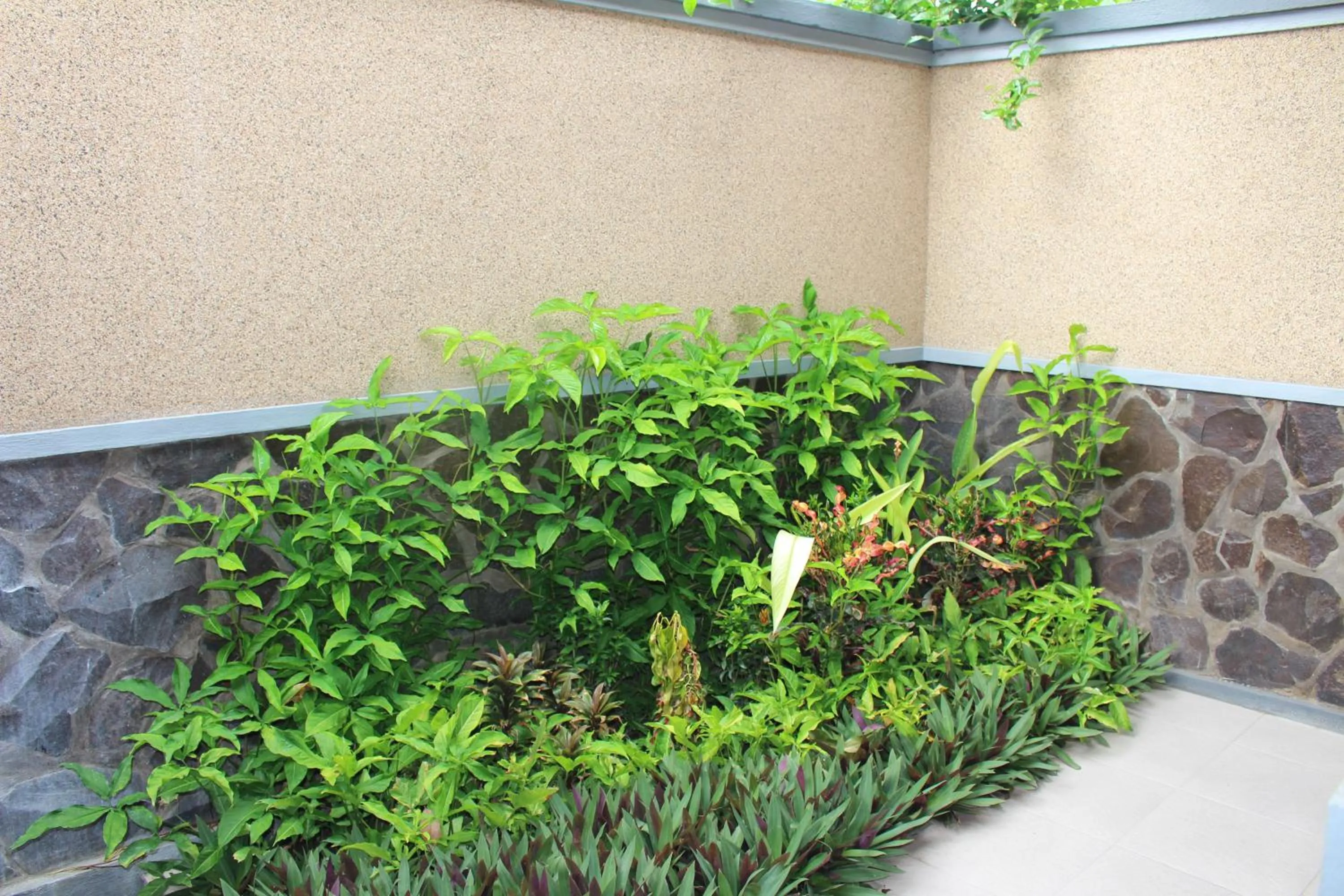 On site in Magus Homestay