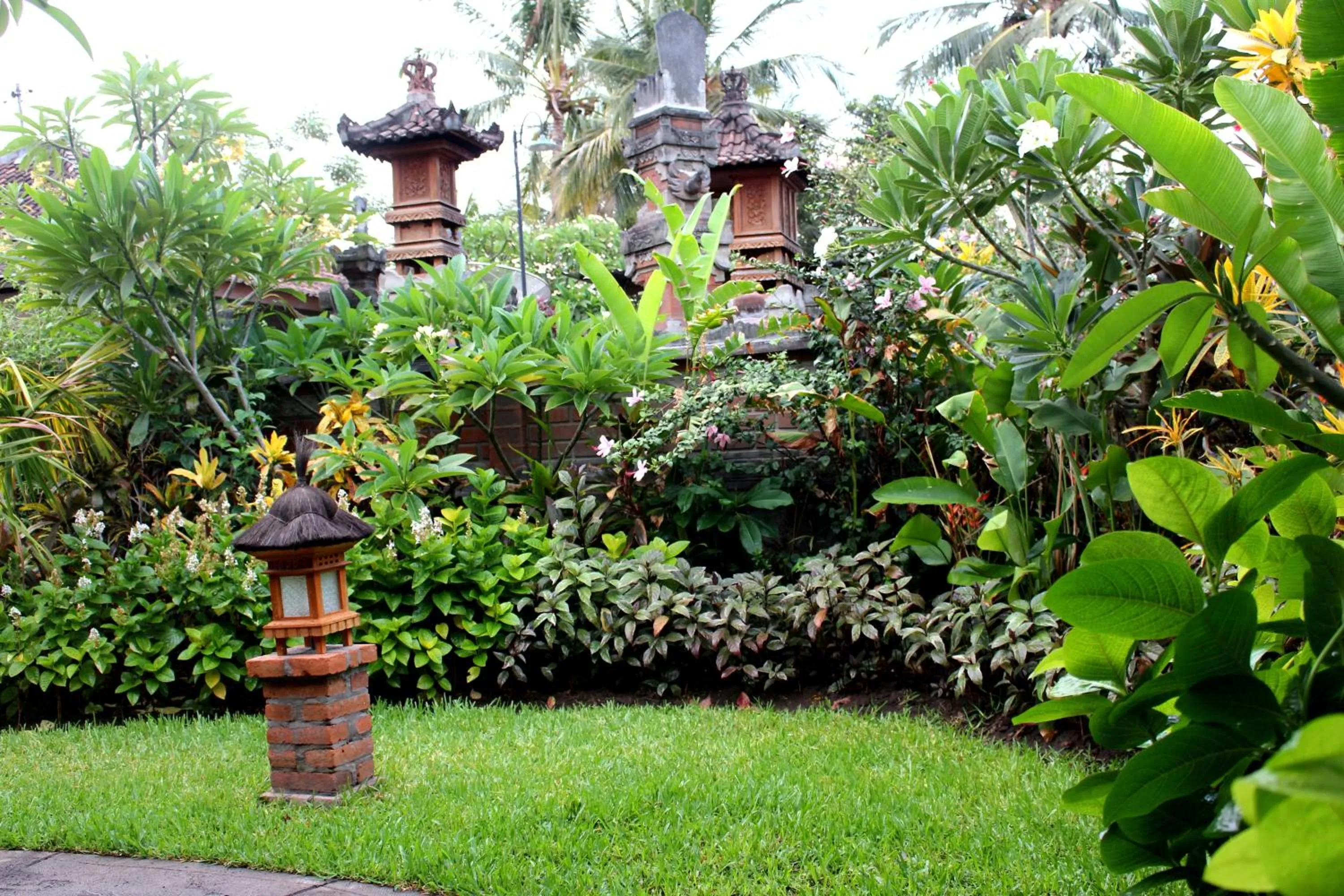 Garden view in Magus Homestay