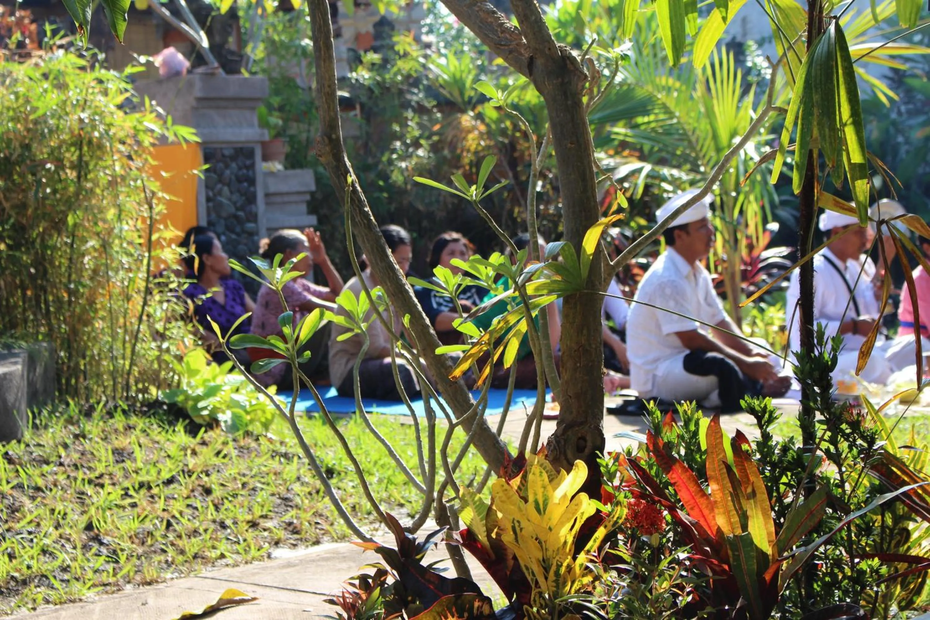 Area and facilities in Magus Homestay