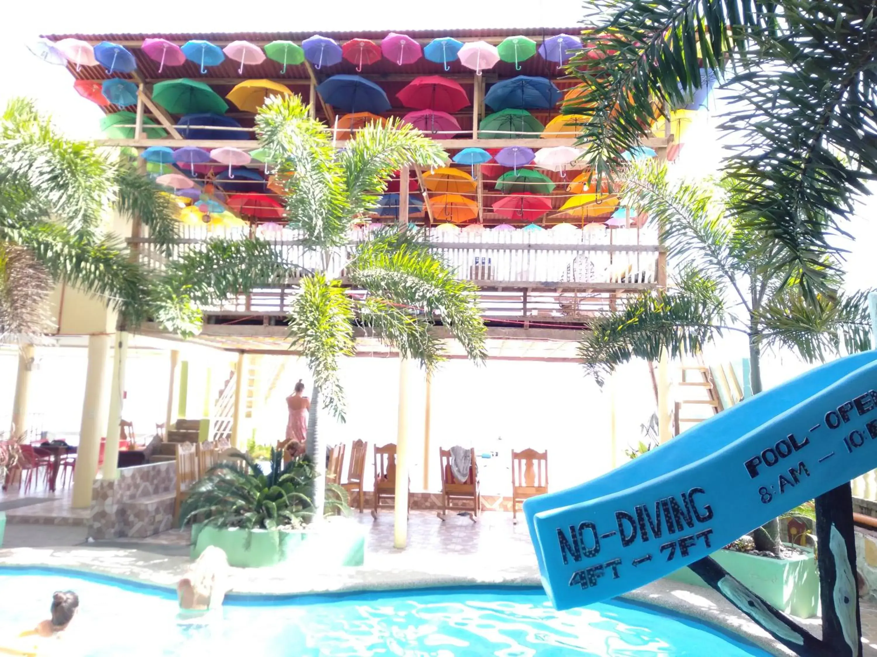 View (from property/room) in Sascha's Resort Oslob View (from property/room) in Sascha's Resort Oslob