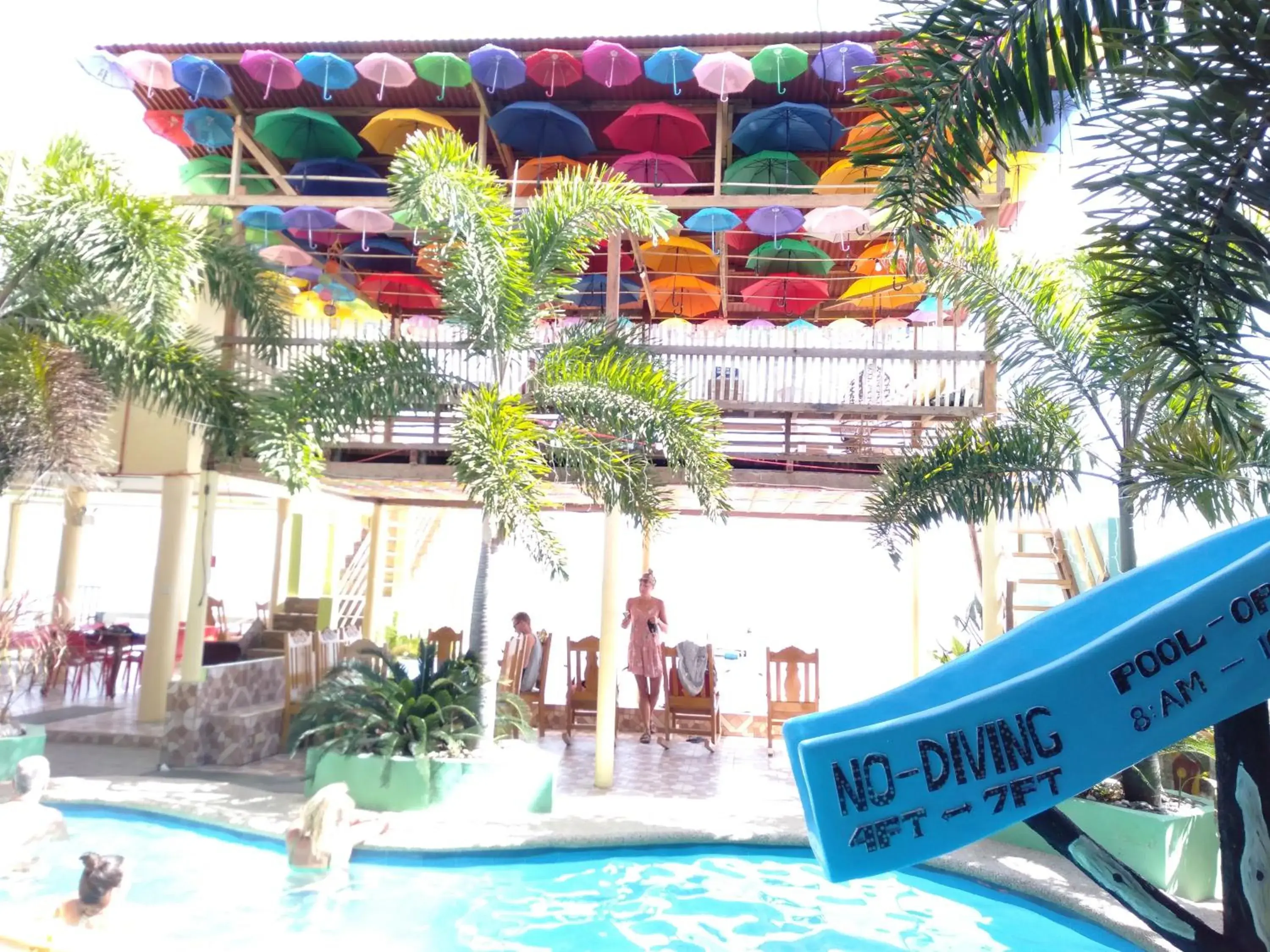 View (from property/room) in Sascha's Resort Oslob View (from property/room) in Sascha's Resort Oslob