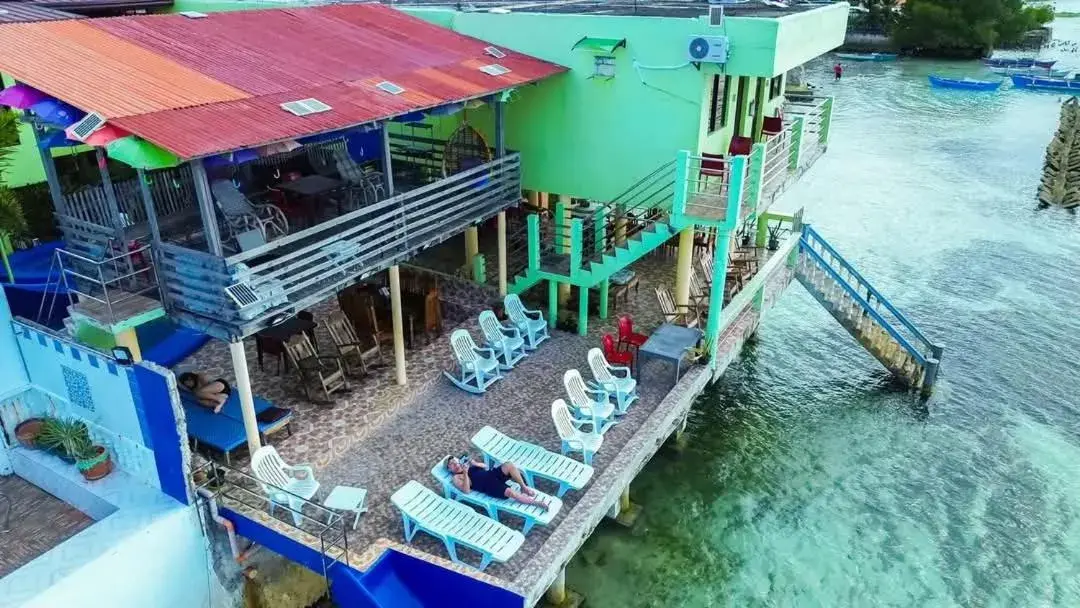 sunbed in Sascha's Resort Oslob sunbed in Sascha's Resort Oslob