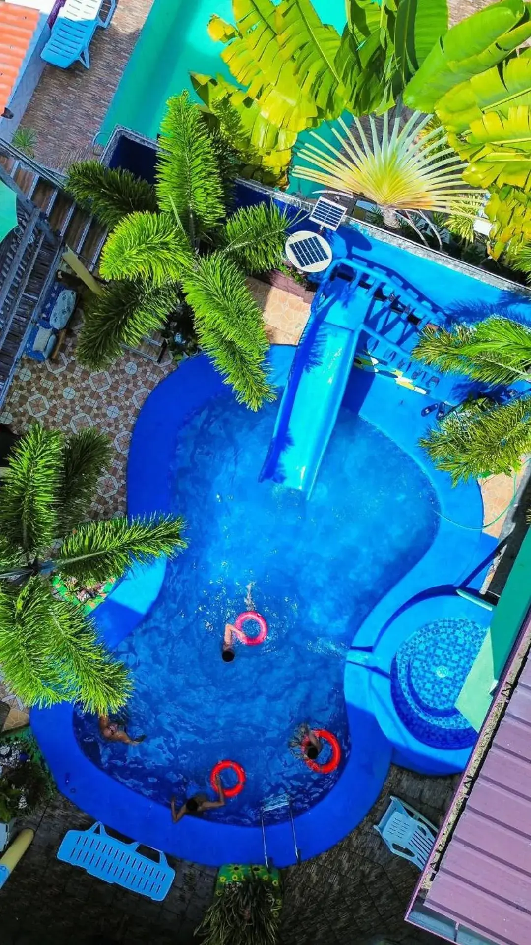 Swimming pool in Sascha's Resort Oslob Swimming pool in Sascha's Resort Oslob