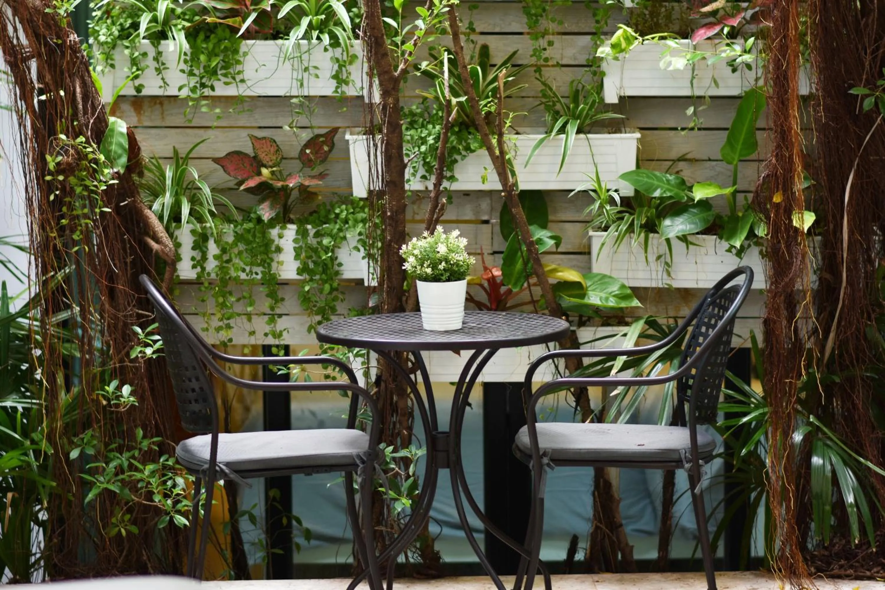 Balcony/Terrace in Villa Labaron