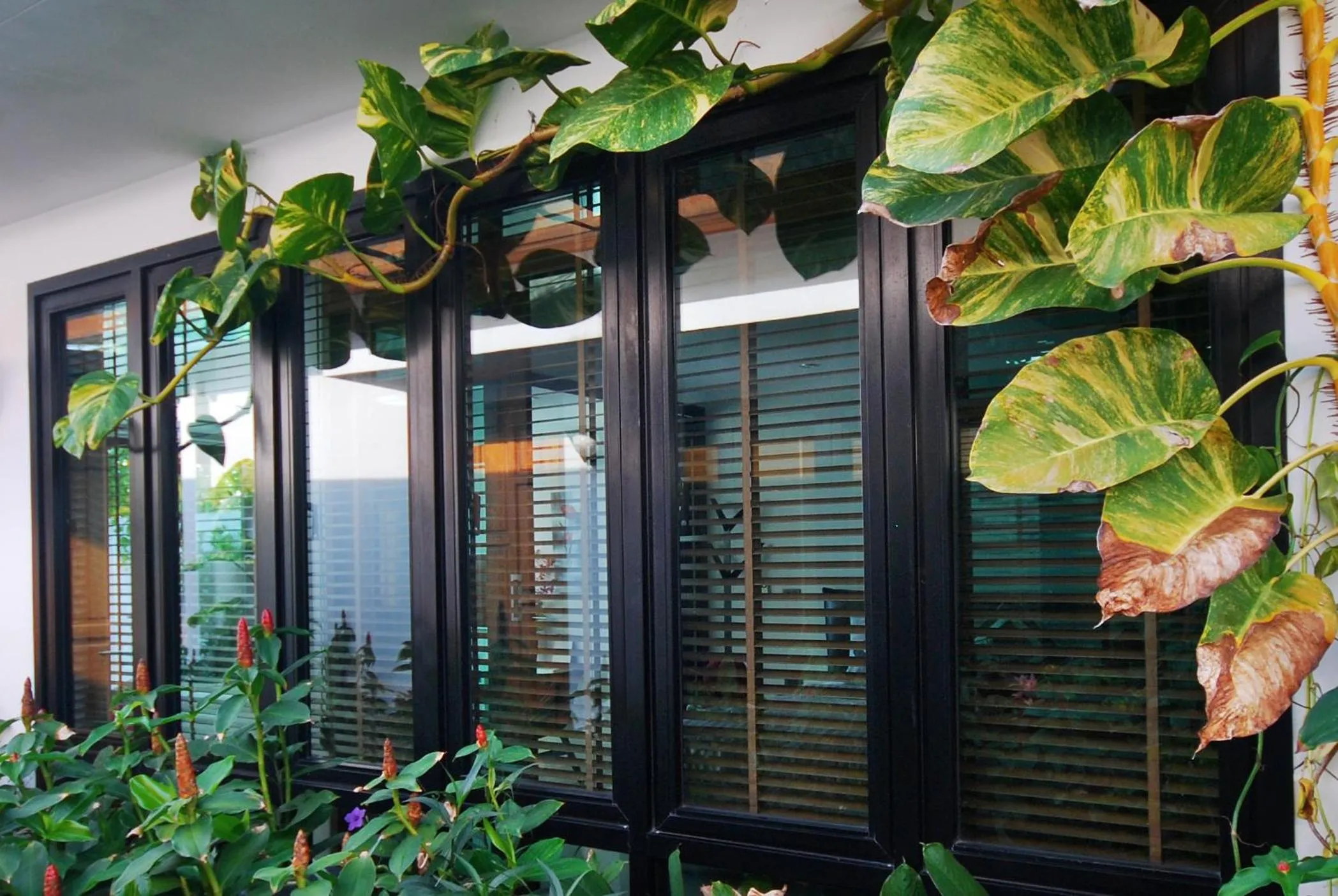 Other in Villa Labaron