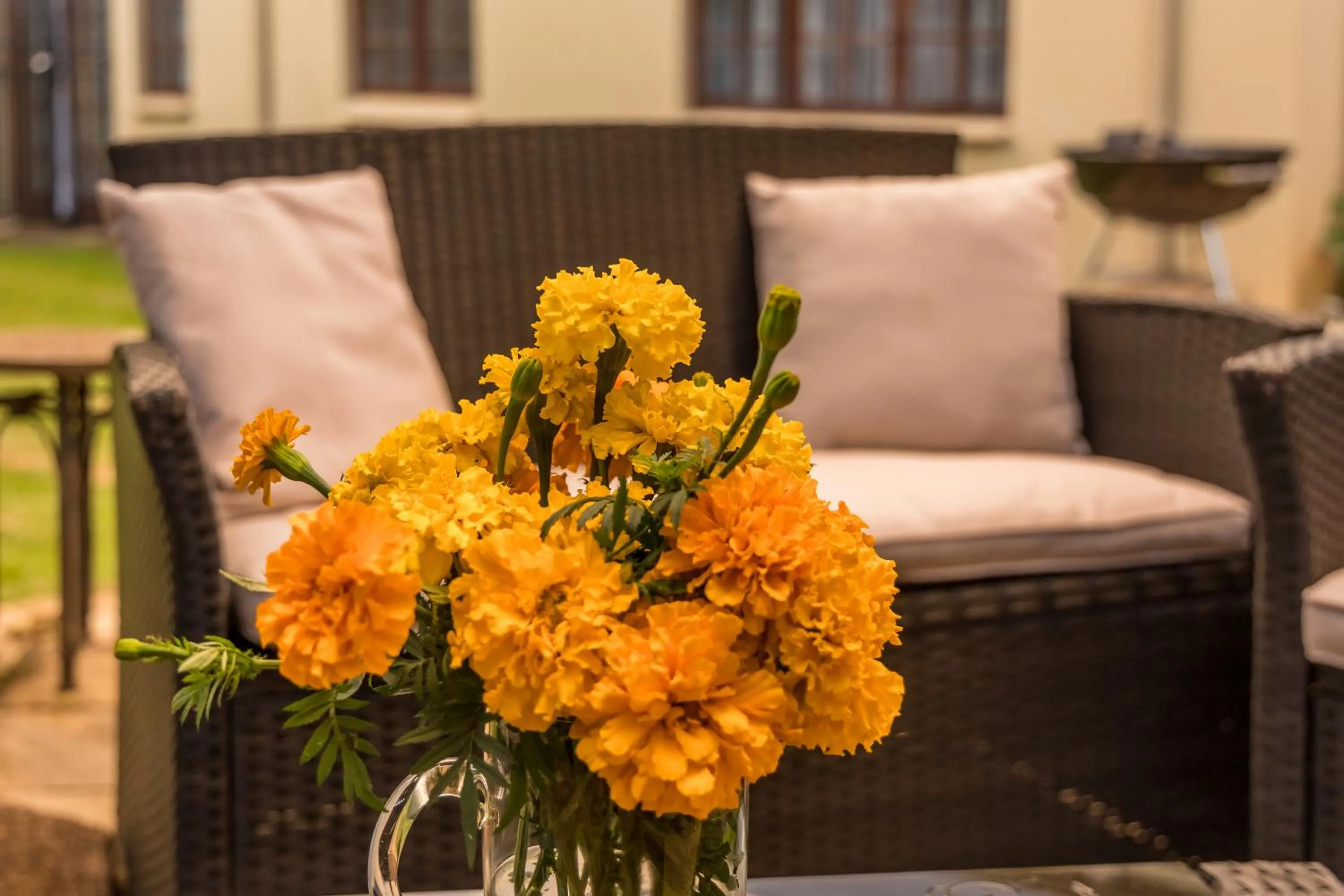 Patio in The Rose Cottage B&B