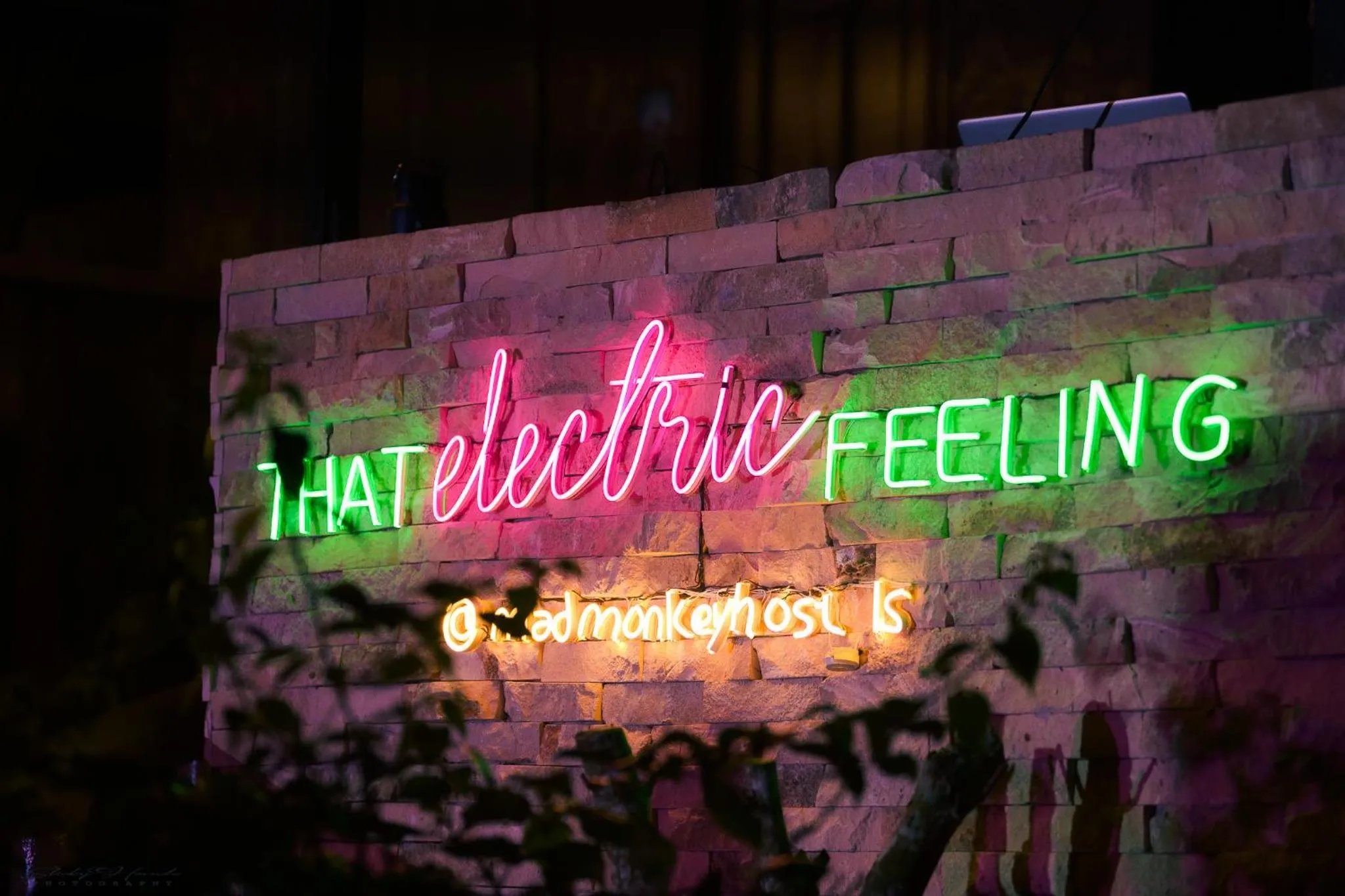 Property building in Mad Monkey Siquijor