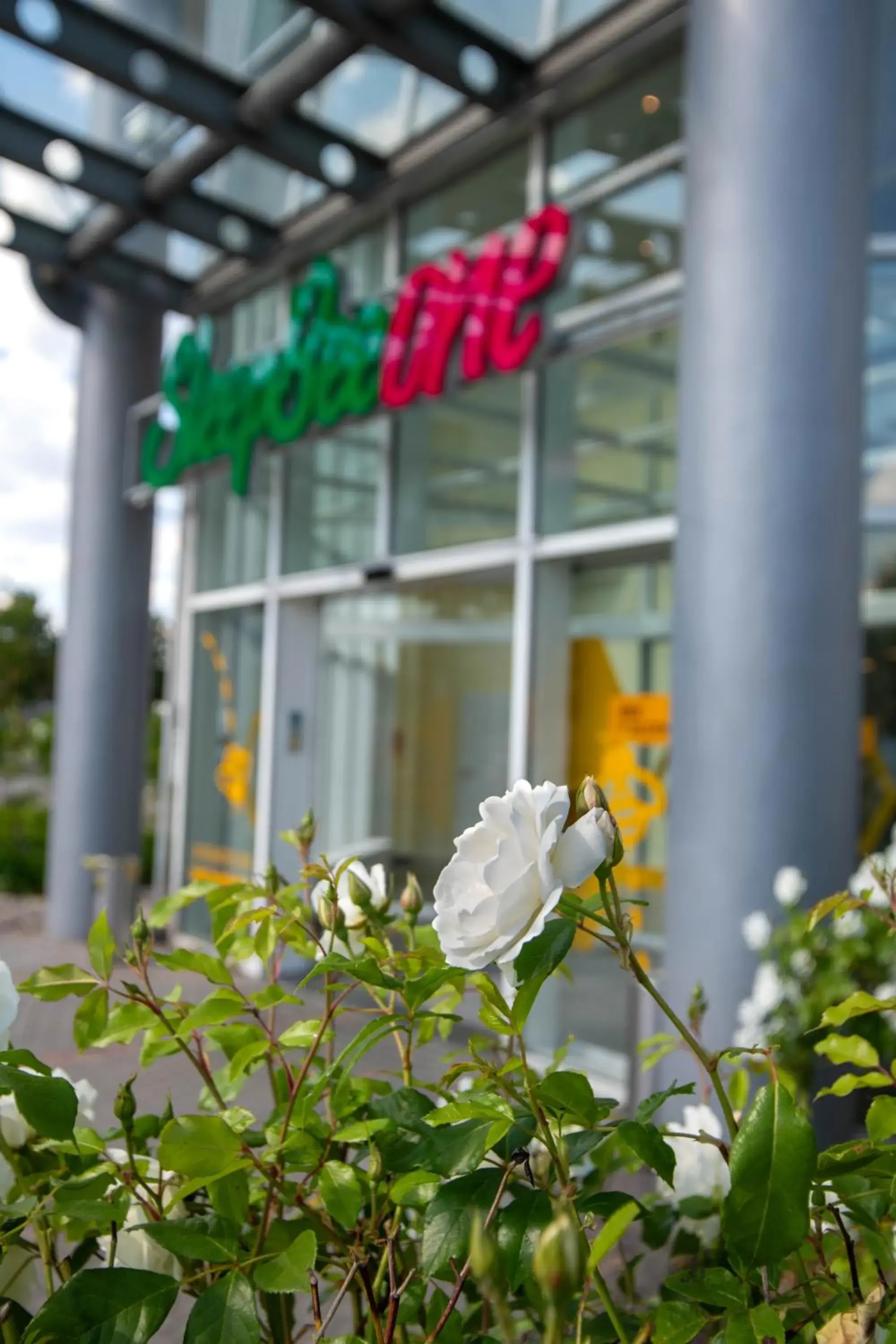 Garden view in Best Western Conference Airporthotel Frankfurt Mörfelden Garden view in Best Western Conference Airporthotel Frankfurt Mörfelden