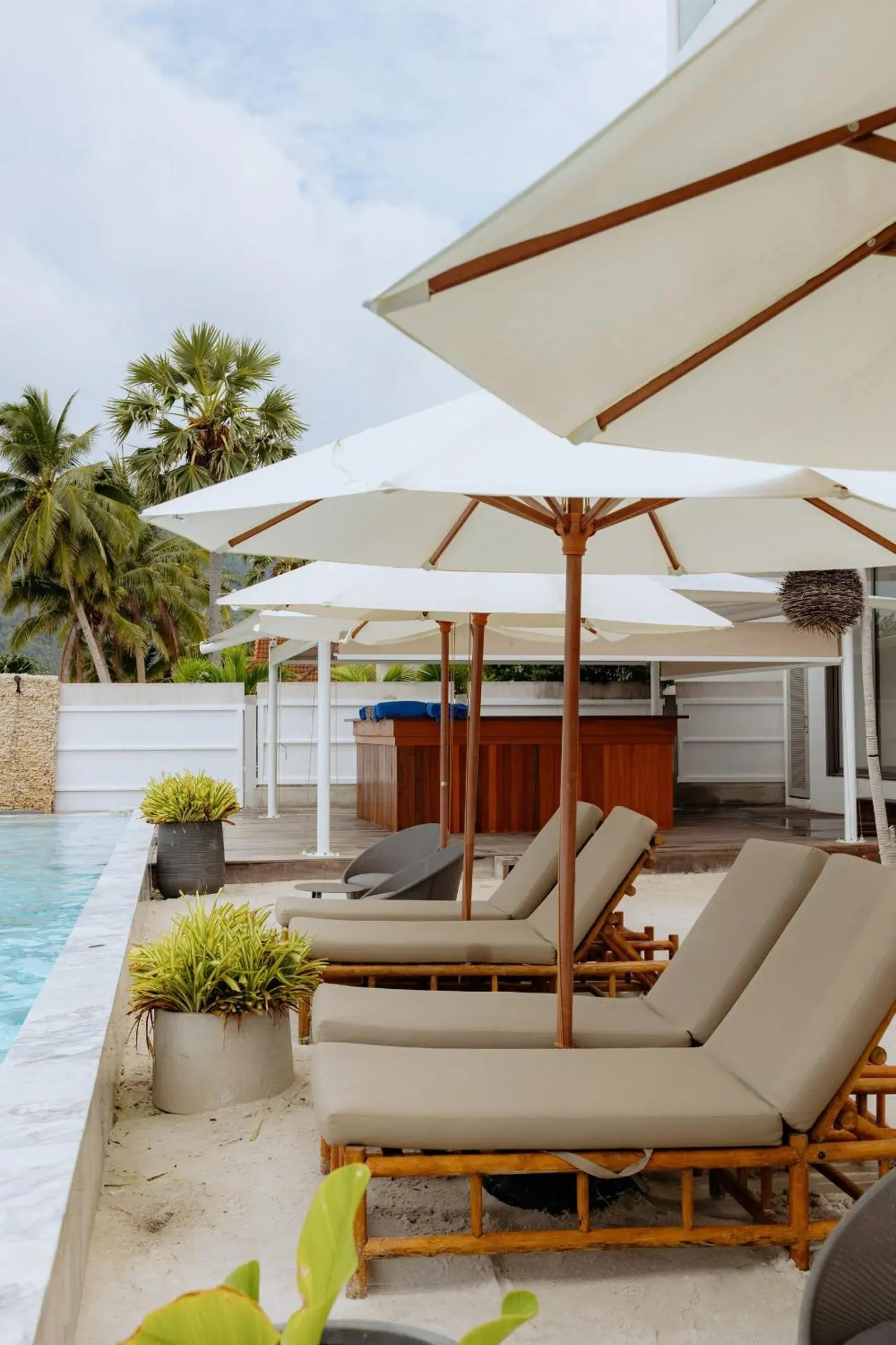 sunbed in Elite Atoll Beachfront Hotel sunbed in Elite Atoll Beachfront Hotel