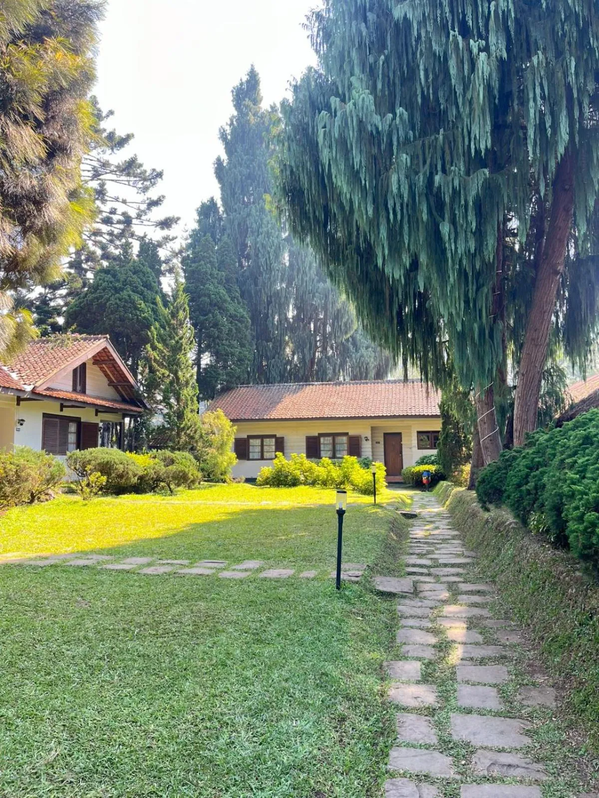 Natural landscape in Hotel Grand Panorama Lembang