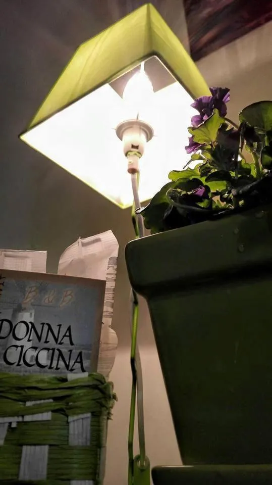 Decorative detail in Donnaciccinatrapani