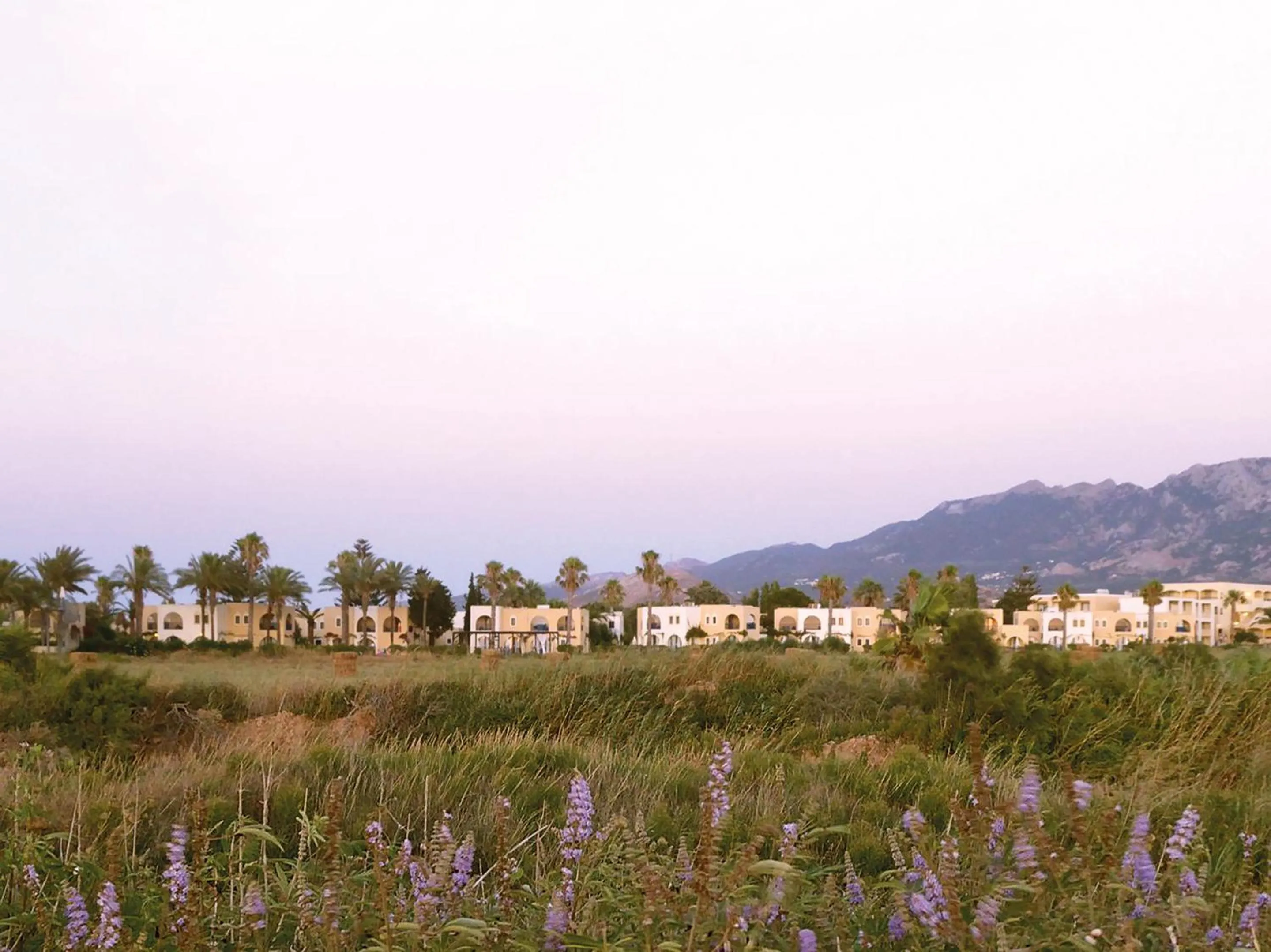 Natural landscape in Grecotel Casa Paradiso