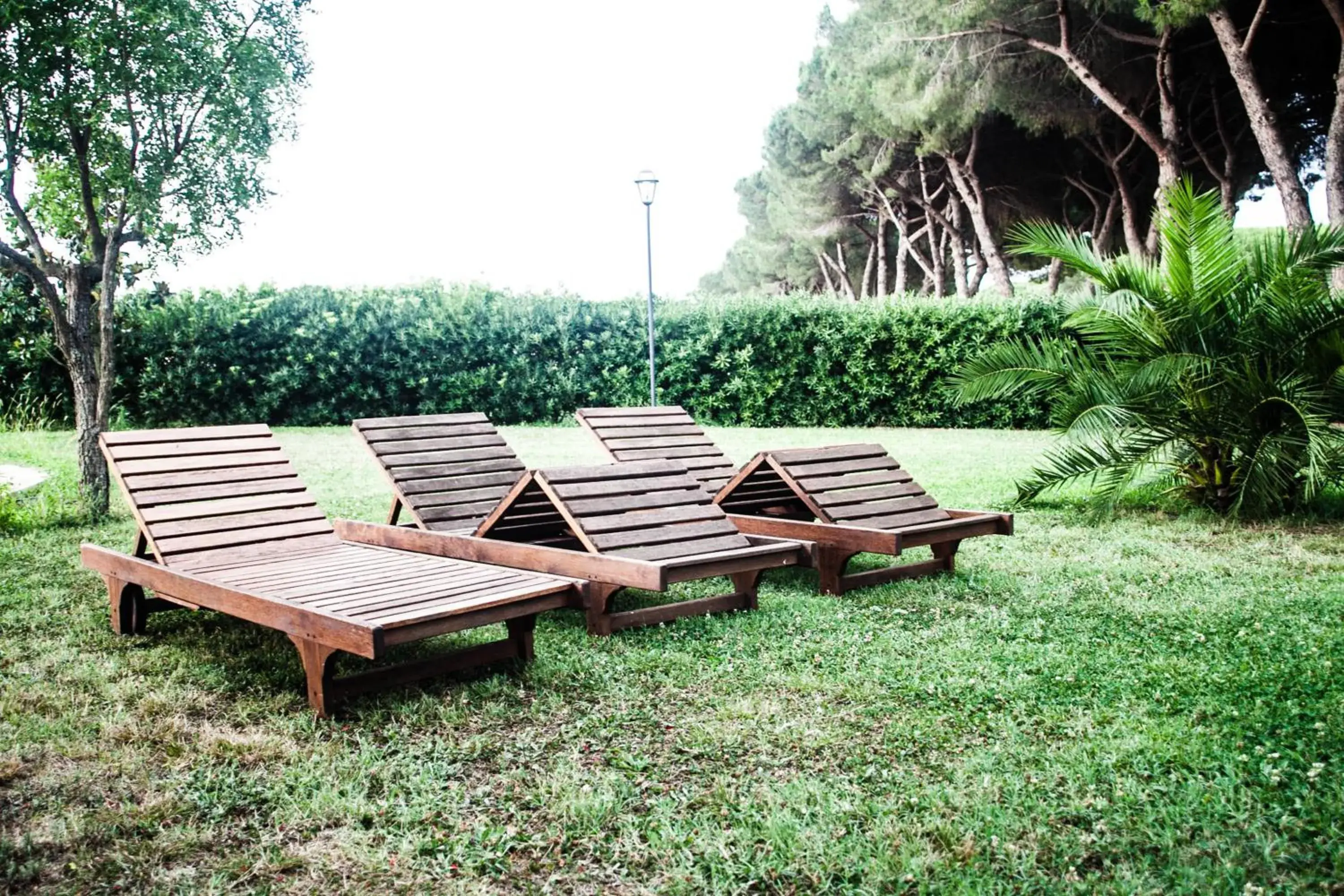 On site in Villa Strampelli On site in Villa Strampelli