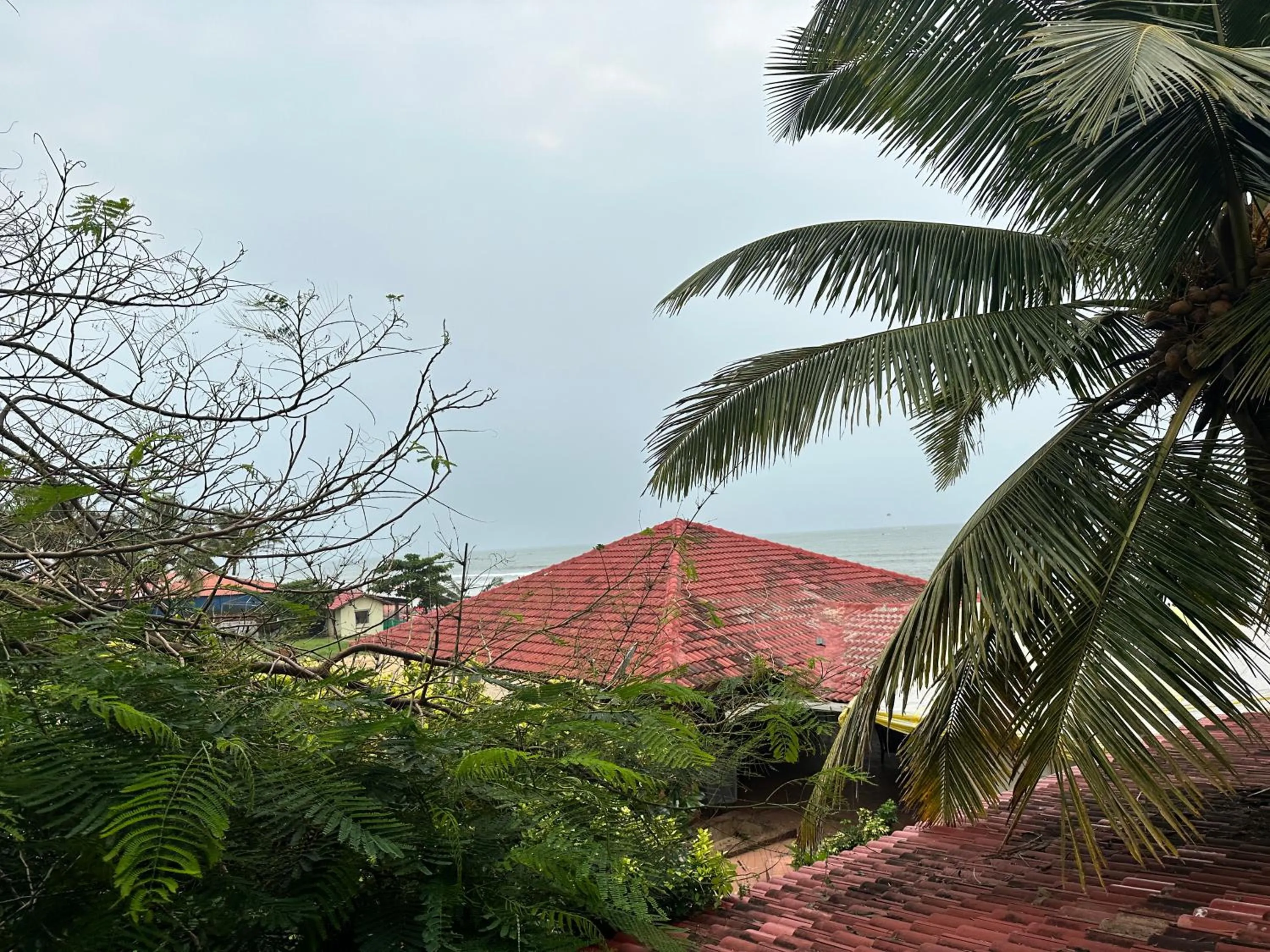 Day in Hotel Salty Waves Baga