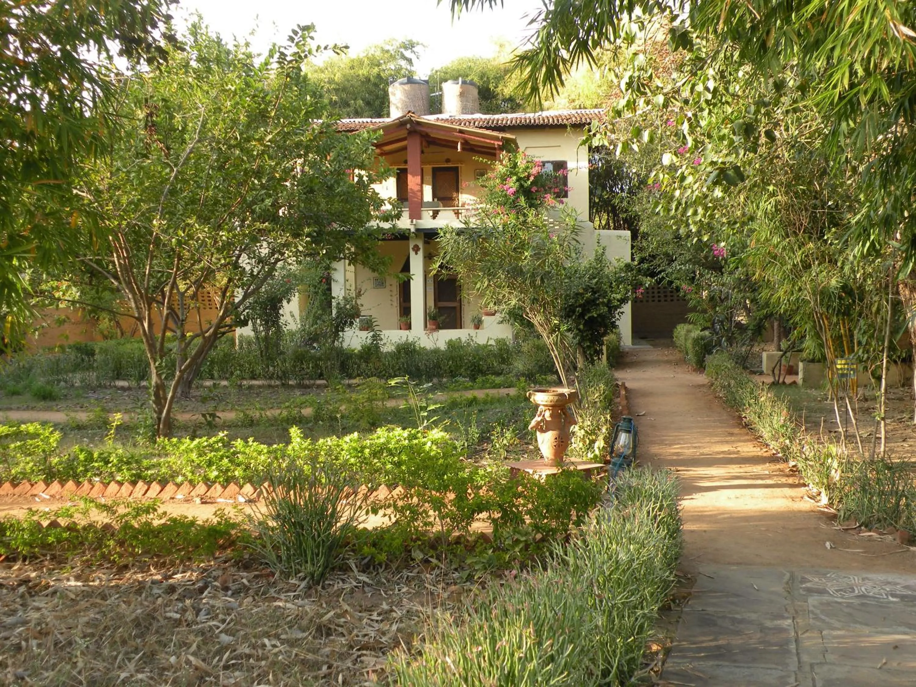 View (from property/room) in Bandhavgarh Jungle Lodge