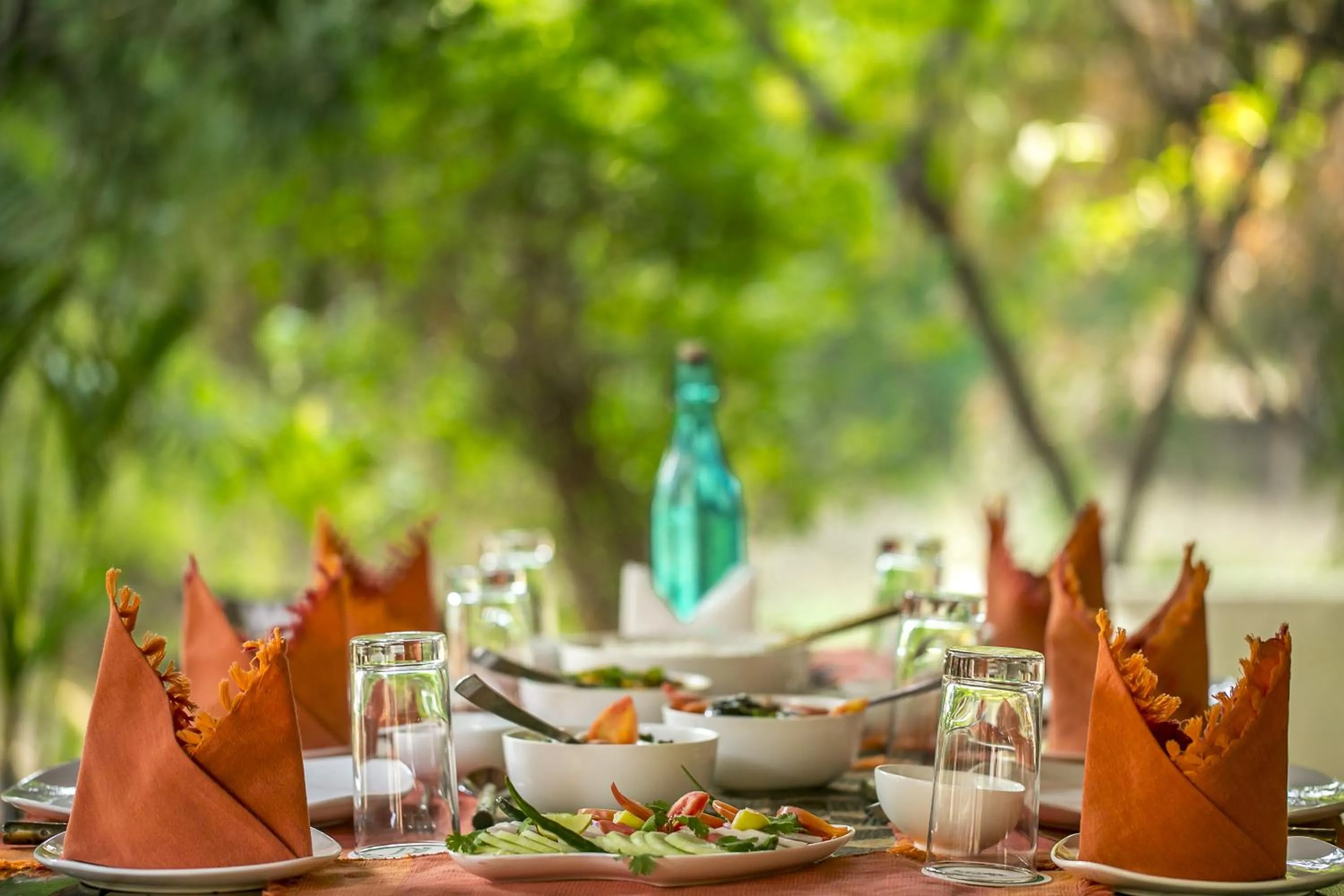 Food close-up in Bandhavgarh Jungle Lodge