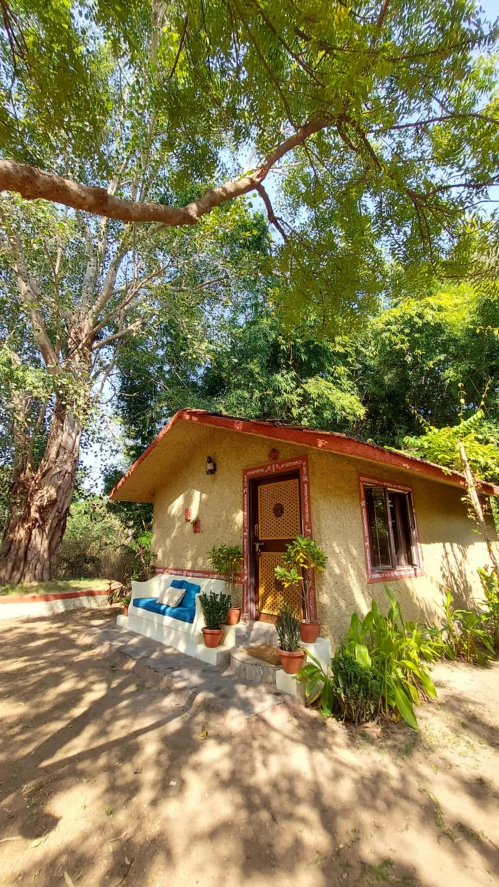 View (from property/room) in Bandhavgarh Jungle Lodge
