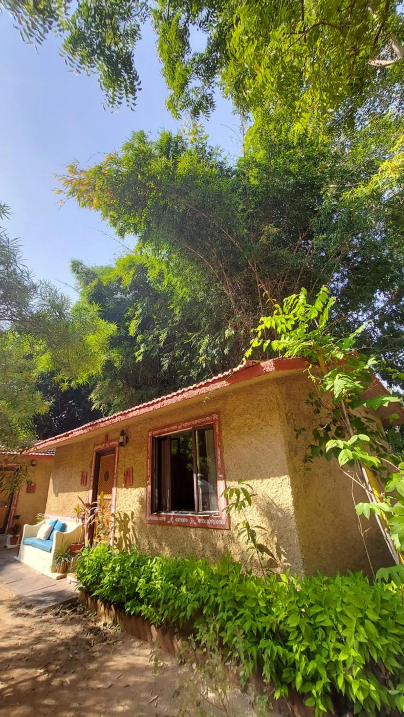 View (from property/room) in Bandhavgarh Jungle Lodge